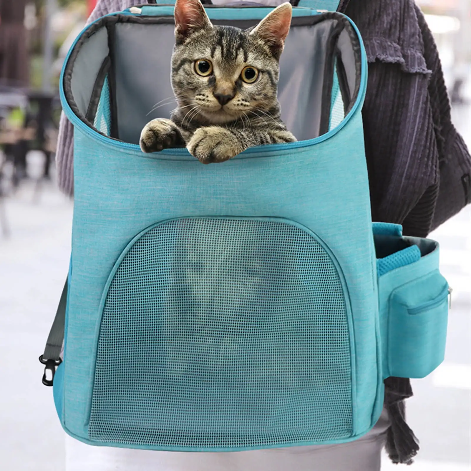 Cat Backpacks for Carrying Cats Pet Backpack Carrier for Small Dogs and Cats. Fully Ventilated Mesh Dog Backpack. Portable Cat Carrier for Travel. Hiking. Walking