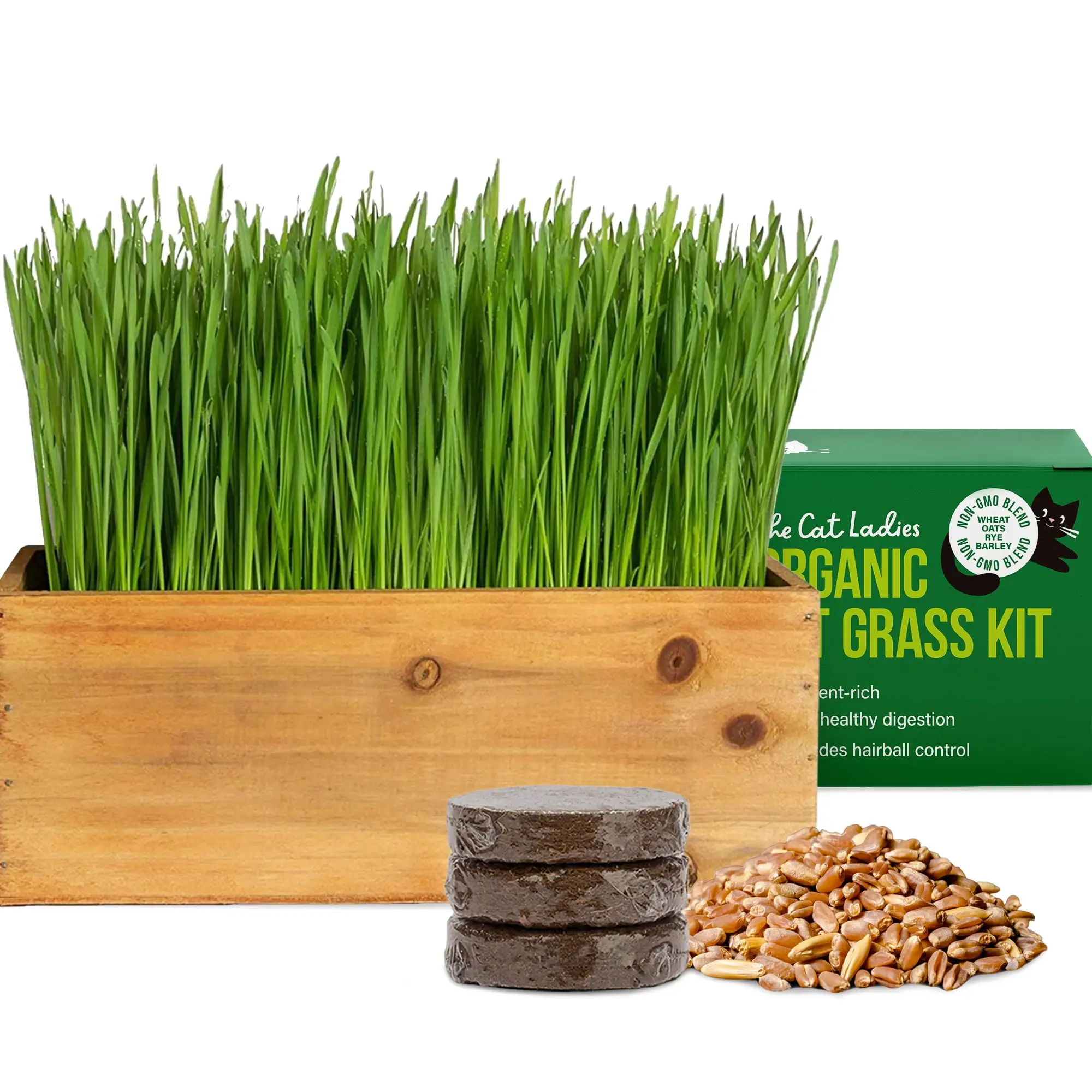 Cat Grass Kit (Organic) Complete with Rustic Wood Planter. Seed and Soil. Easy to Grow