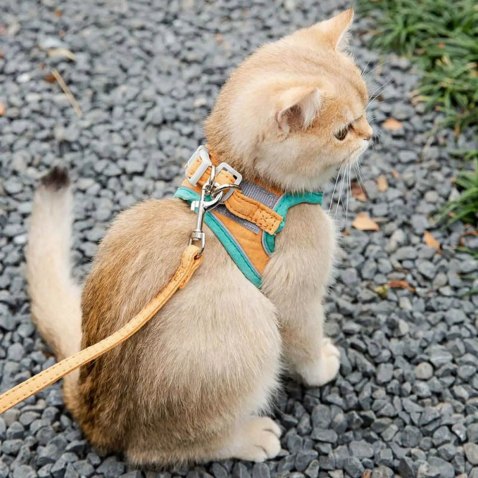 Cat Harness and Leash Set. Escape Proof Kitten Harness Adjustable Cat Vest Harness. Universal Cat Leash and Harness for Cats/Puppies Outdoor Walking