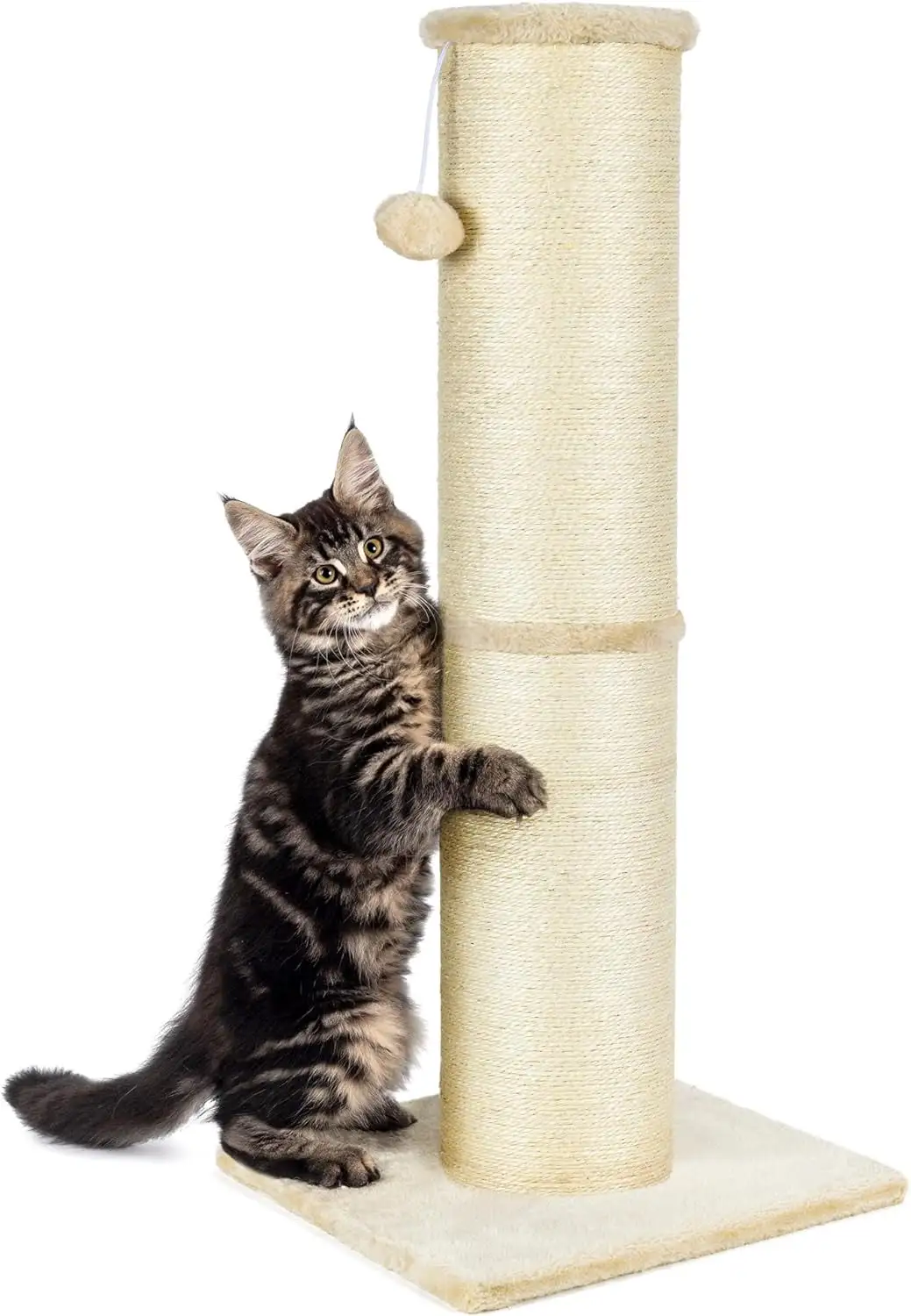 Cat Scratching Post 32 Inch High. 5.5 Inch Large Diameter Natural Sisal Cat Scratch Post. Scratch-Resistant and Durable Tall Cat Scratcher for Indoor Cats. Protect Your Furniture. Beige