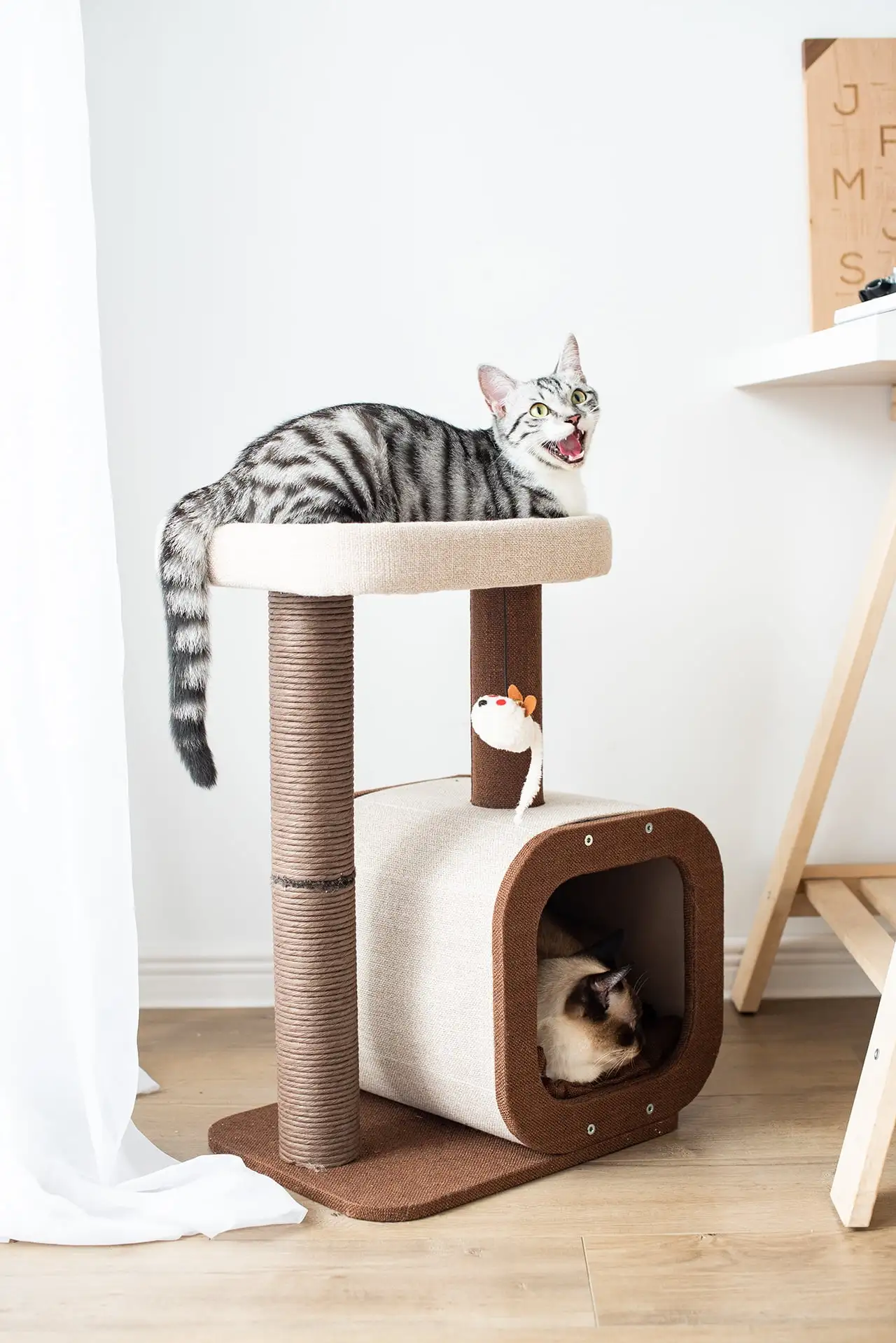 Catry 23 Cat Condo Brown & Beige Small Cat Tree with Scratching Post Play House Indoor Multi-Level Climbing Cat Furniture w/ FREE Cat Teaser