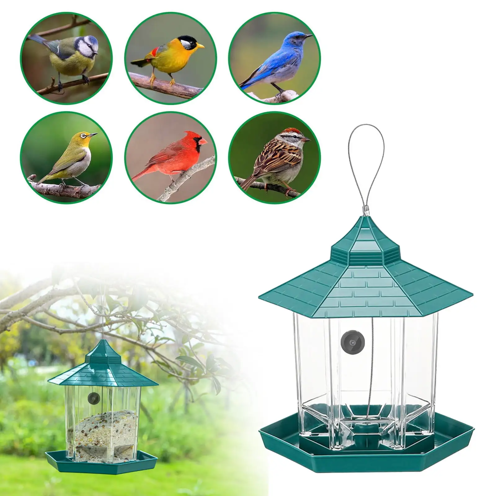 Chamoist Bird Feeder With Camera. HD 1080P Camera WiFi Remotely Connects To Mobile Phone To See Bird Outdoor Photos For Bird Enthusiasts.Ideal Gift for Her