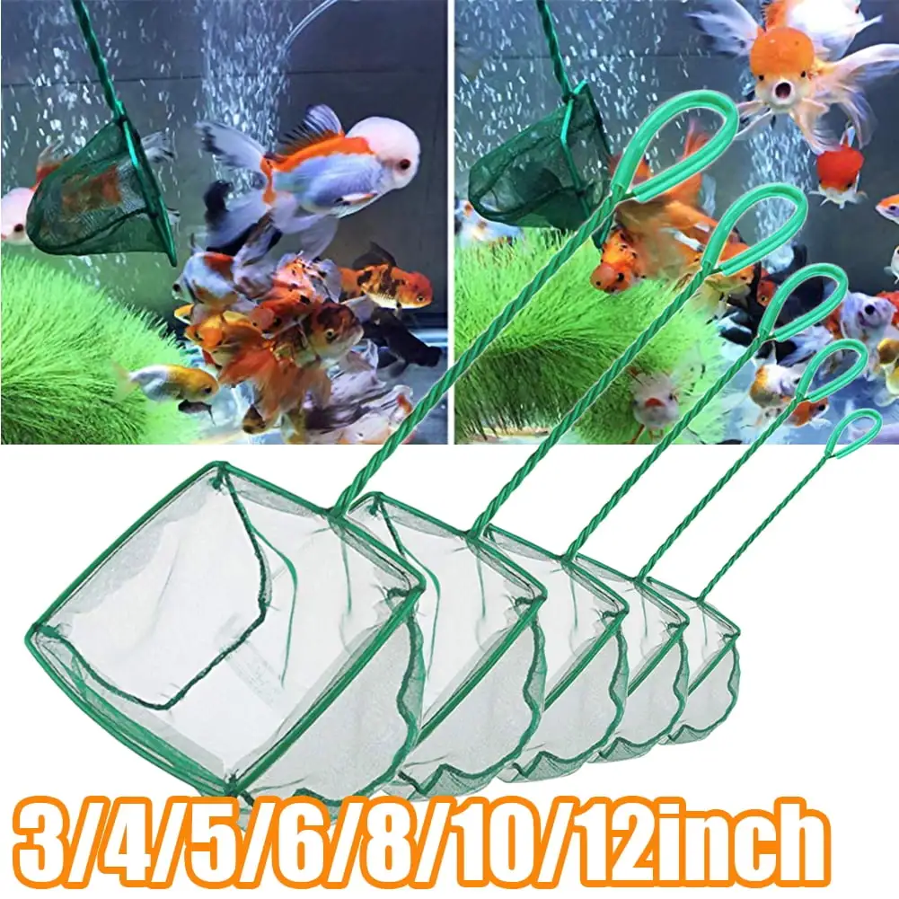 Cheers.US Fine Mesh Fish Net for Fish Tank - Aquarium Net Scoop. Aquarium Fish Skimmer Net with Plastic Handle for Catching Small Fish. Shrimp. Aquatic Plants-3/4/5/6/8/10inch