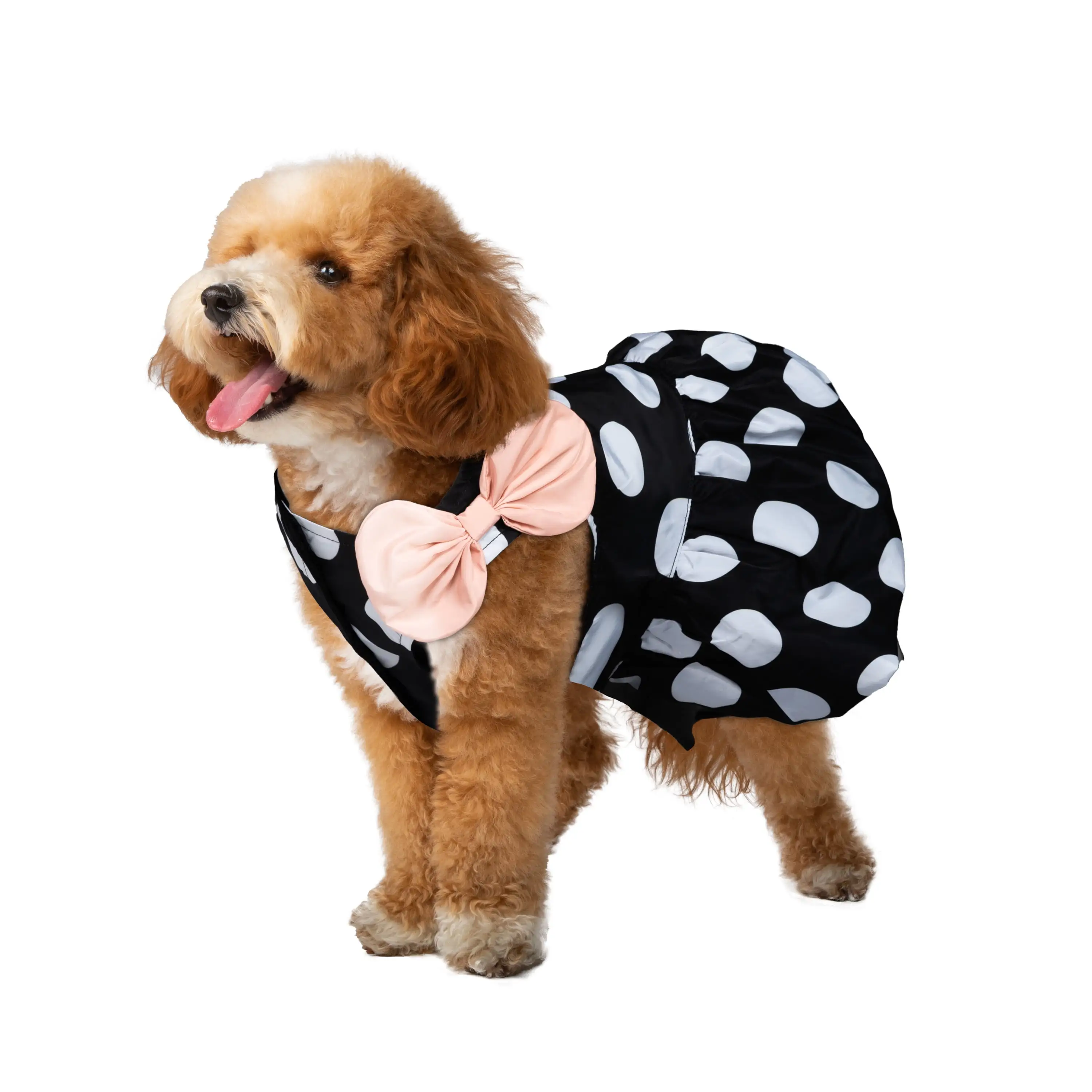 Christian Siriano. Dog Clothes. Polka Dot Dog or Cat Dress. Black. XS