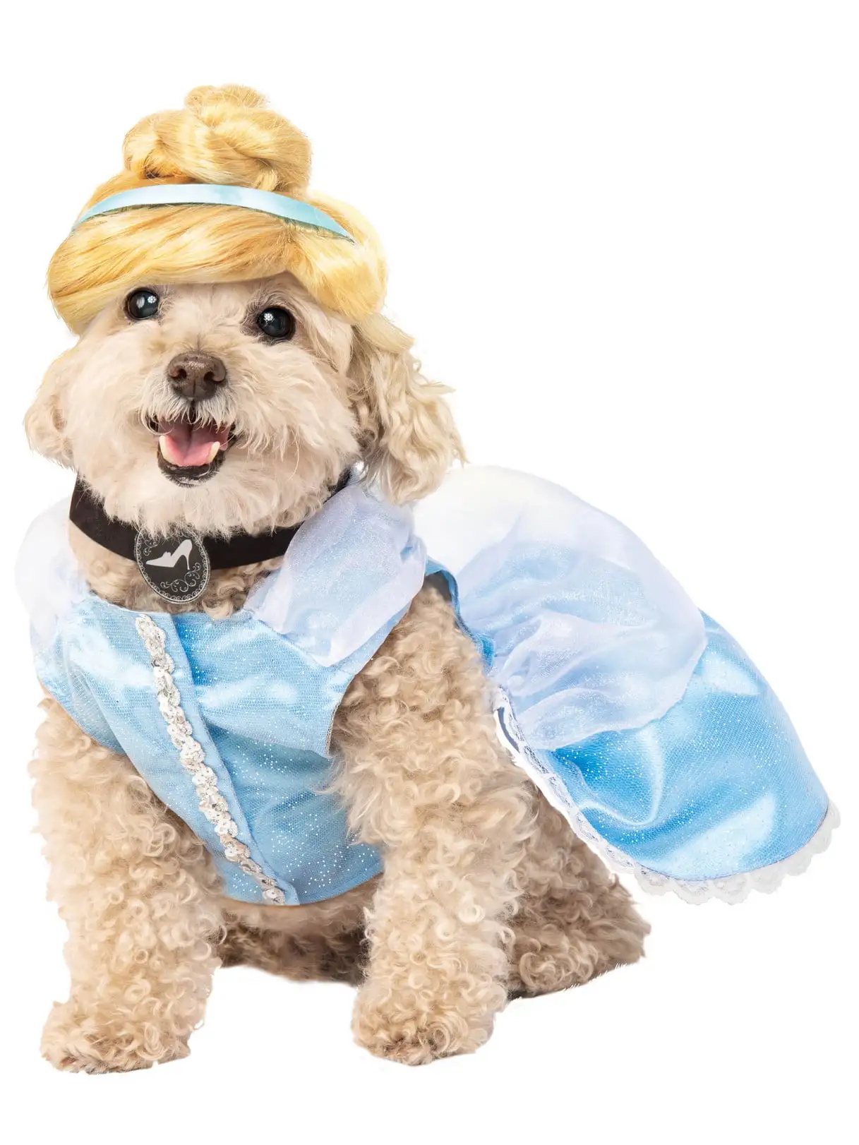 Cinderella Pet Costume