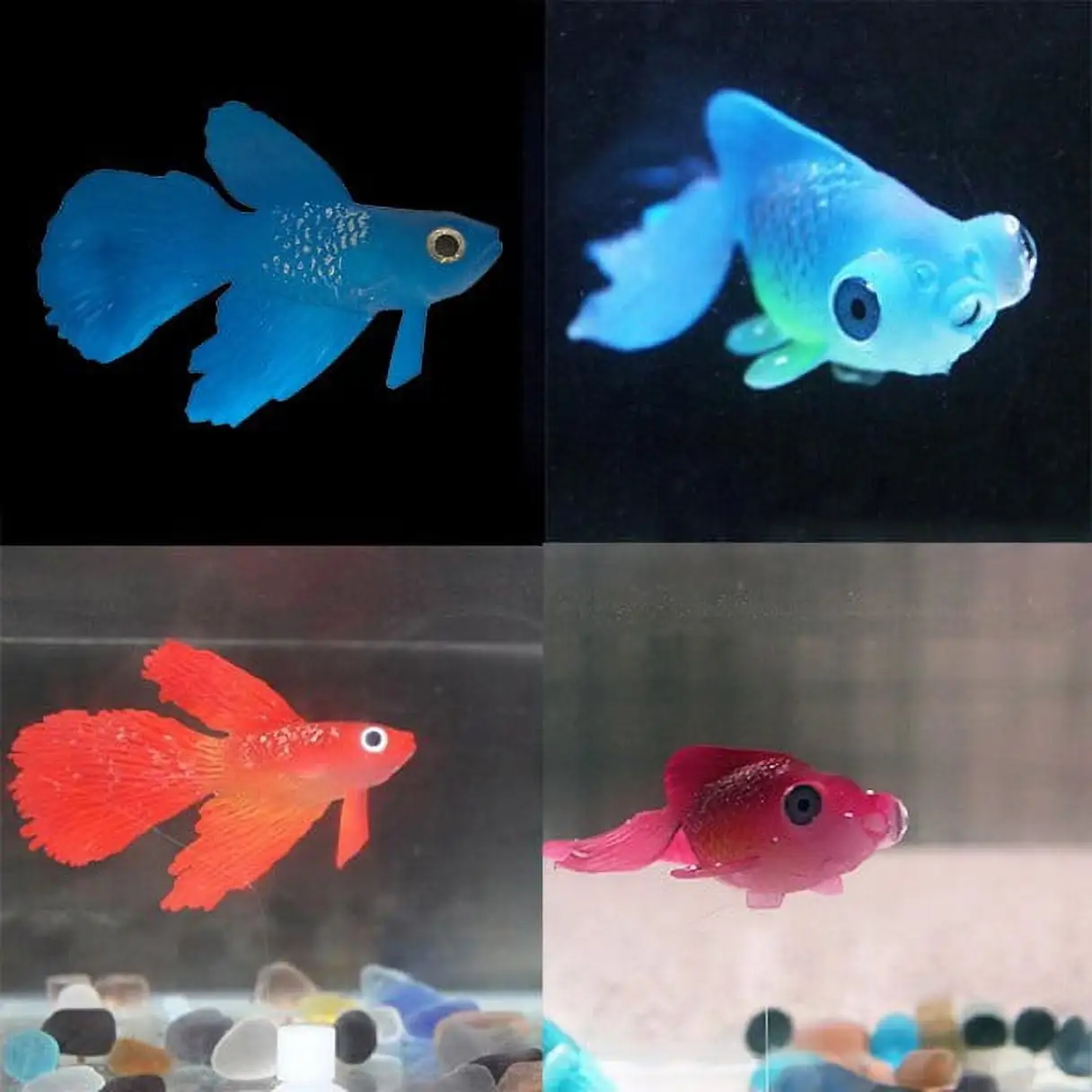 Clearance! Zainafacai Aquarium Landscaping Fish Tank Decor Glowing Animal Ornament Aquarium Effect Aquarium Accessories Room Decor B