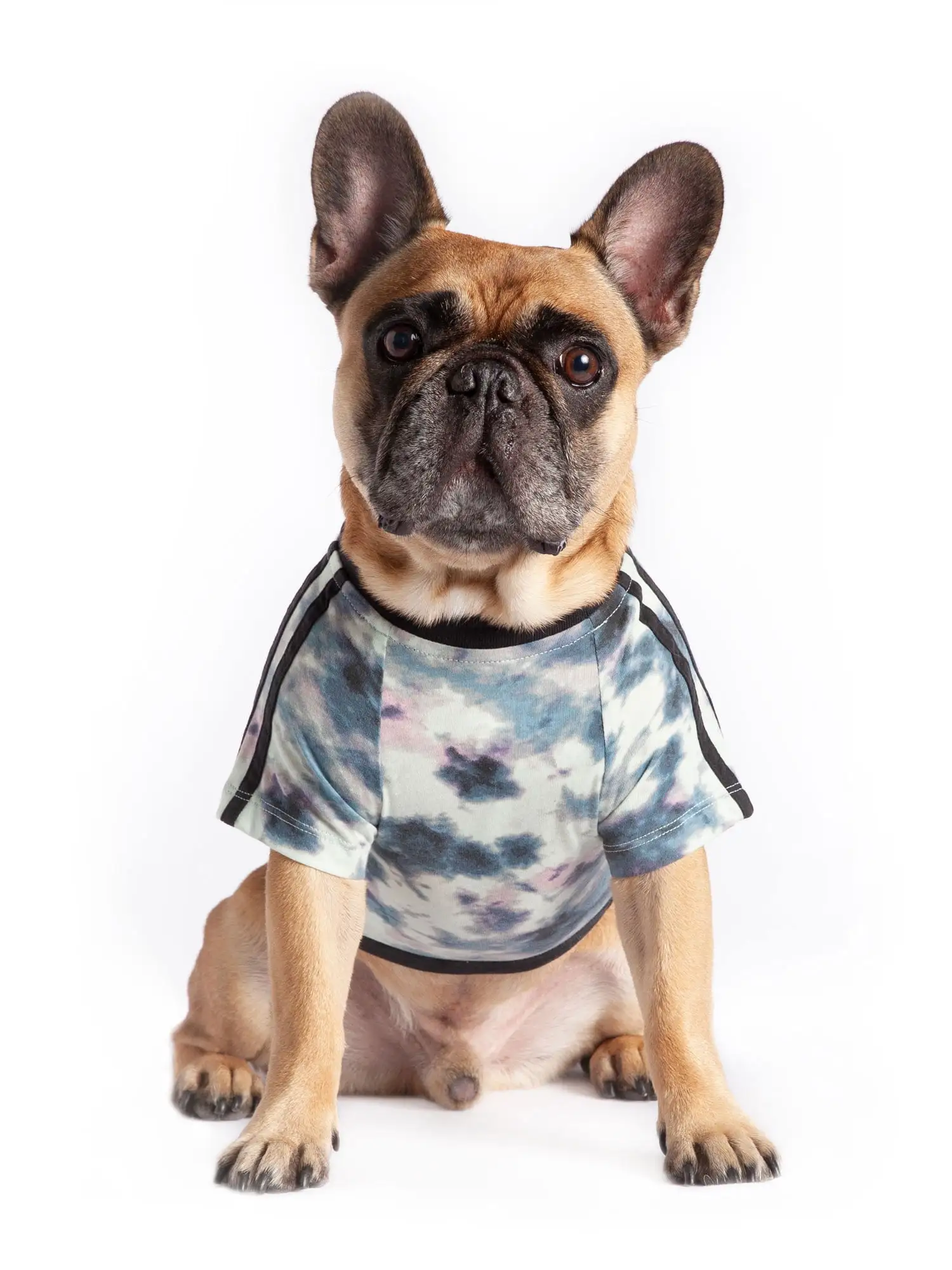 Coco + Rebel Tie-Dye Athletic Dog T-Shirt