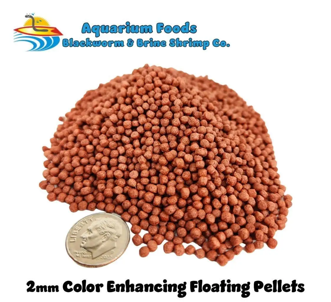 Color Enhancing Floating Pellets 2mm - Small / Medium Koi. Goldfish. Pond...1-lb