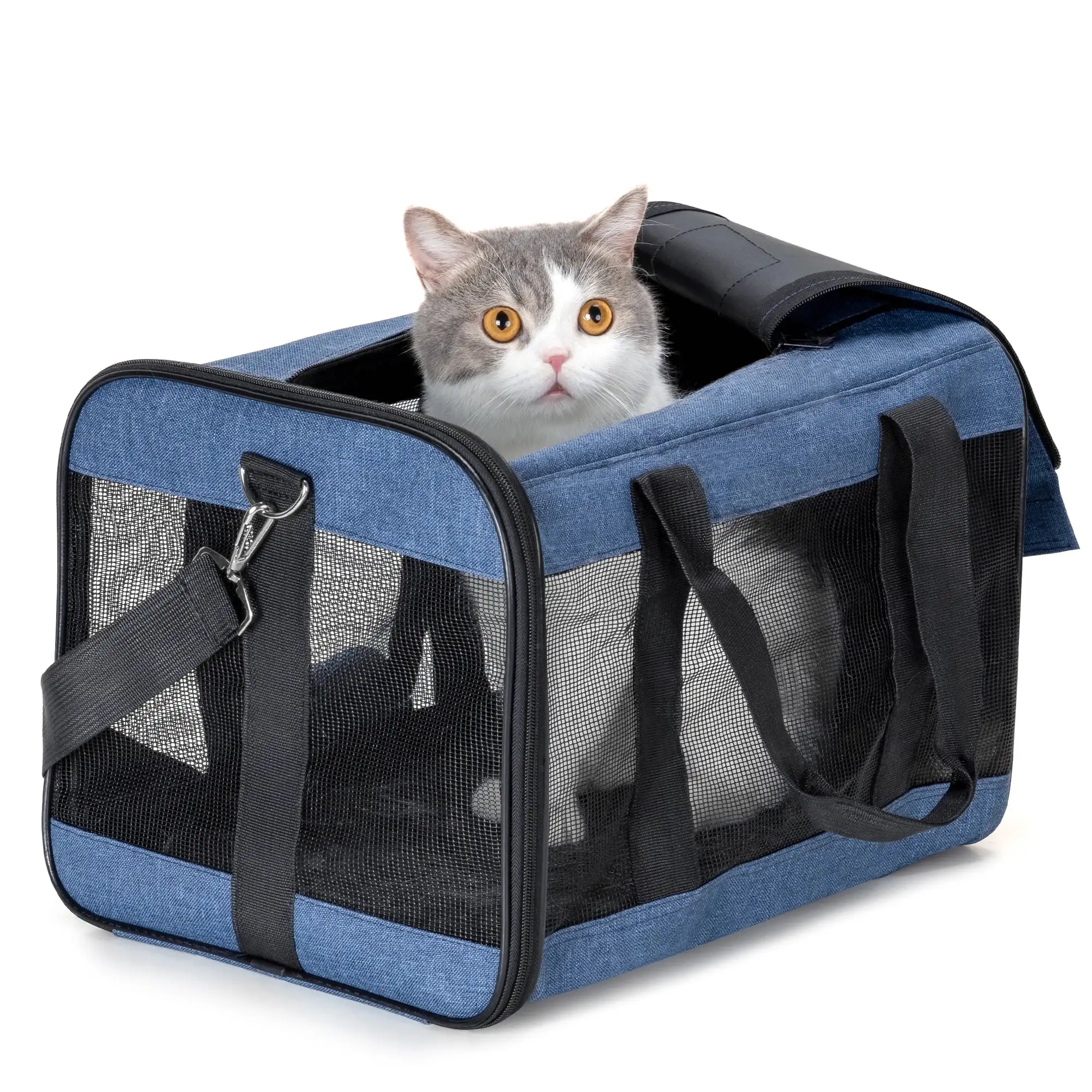 Conlun Airline Approved Pet Carrier-Foldable.Soft-Sided. Safety Leash.Comfort for Traveling with Small to Medium-Sized Pets.Blue