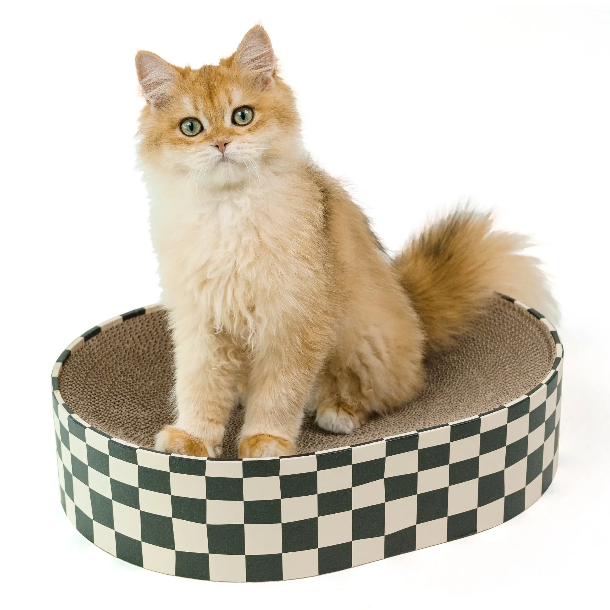 Conlun Cat Scratcher Cardboard.2 in 1 Oval Cat Scratch Pad Bowl Nest for Indoor Cats Grinding Claw.Round Cat Scratching Board Corrugated Lounge Cat Beds