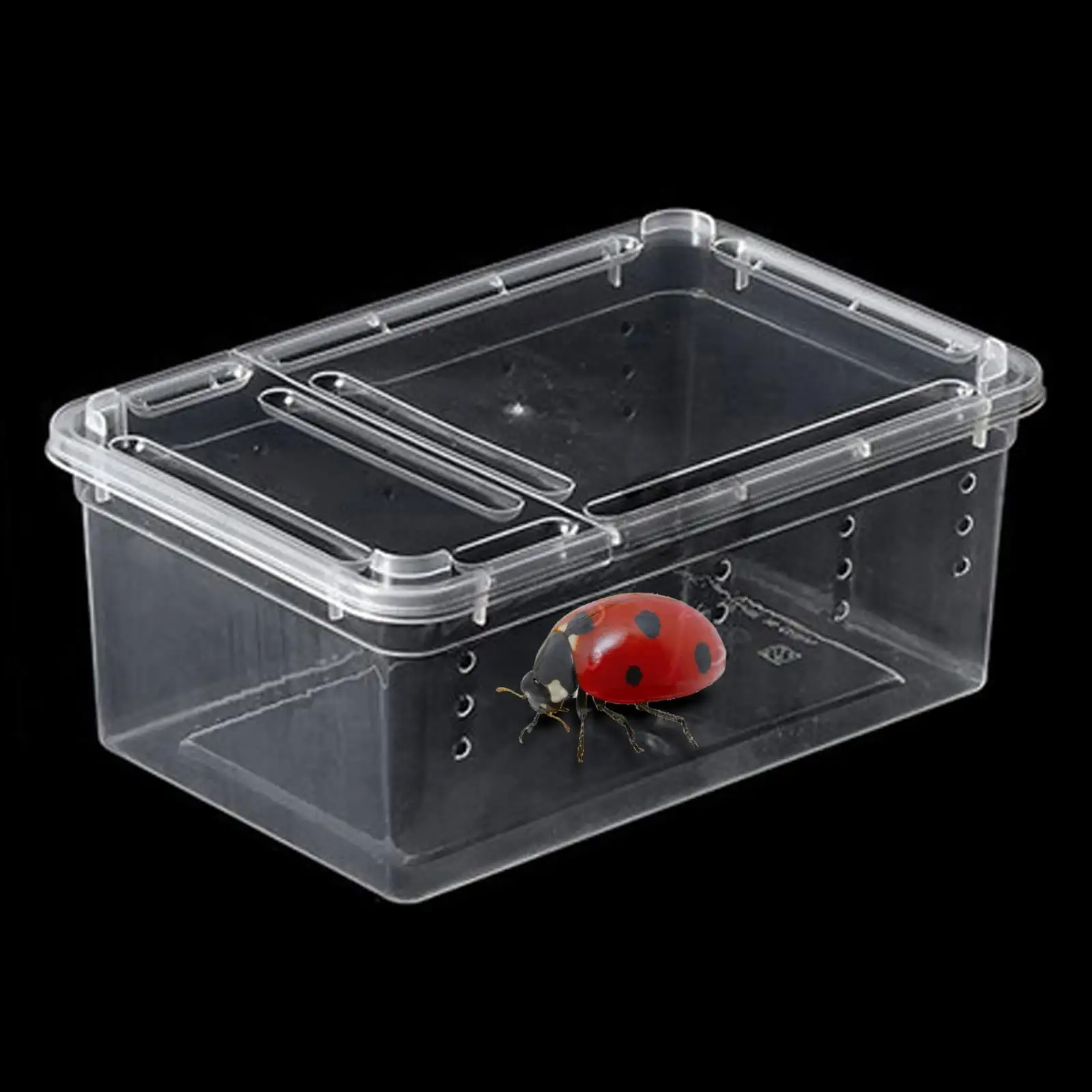 DOLITY Reptile Feeding Box 12.5x19x7.5cm Clear Terrarium for Frogs Gerbil Scorpions white