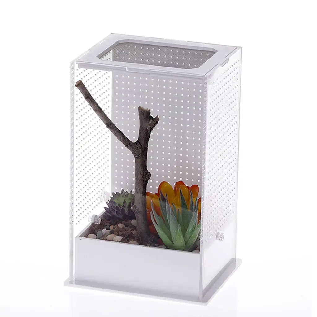 DOYOUNG Reptile Feeding Box Clear Terrarium Containers for Spider Lizard Beetle Mantis