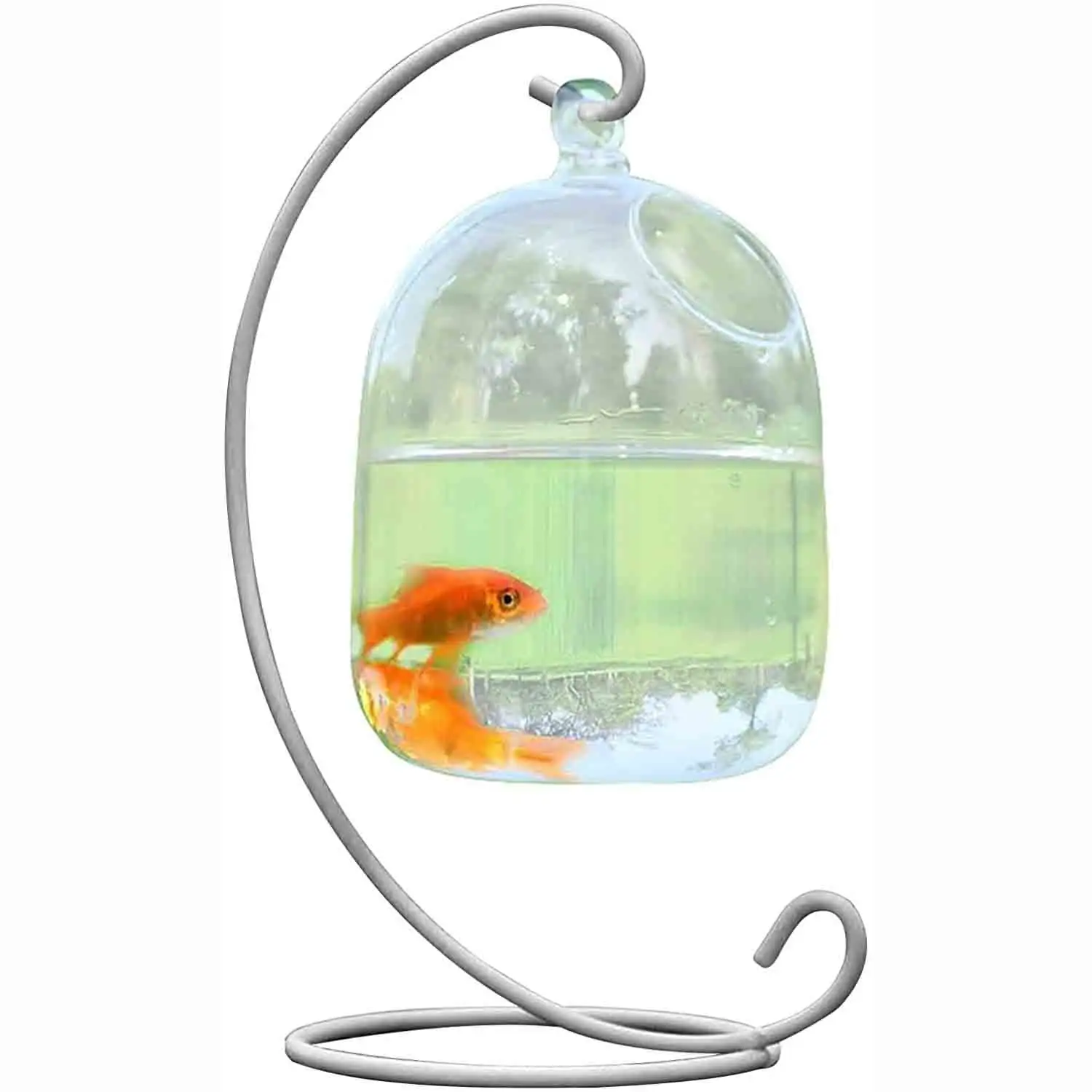 Desk Hanging Fish Tank. Small Glass Betta Fish Bowl Mini Aquarium with Stand. Clear Plant Terrarium for Home Table Top Office Garden Decor