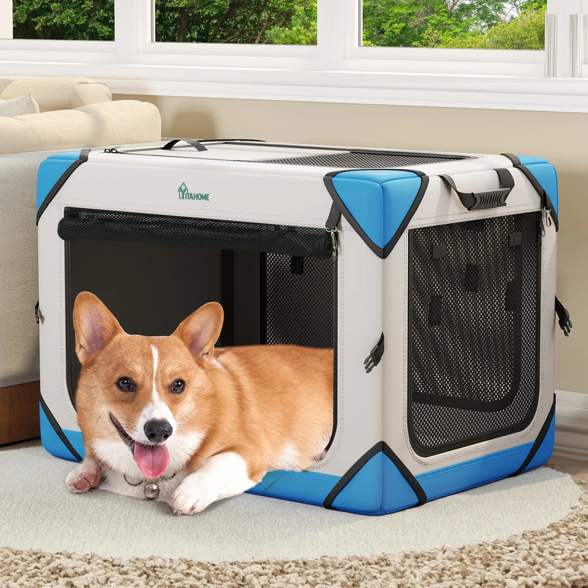 Dextrus Collapsible Dog Crate with 4 Doors. Portable Travel Dog Crates and Kennels with Mesh Windows for Indoor Outdoor Travel. Ideal for Large Medium Small Dogs(30 L x 21 W x 21 H)