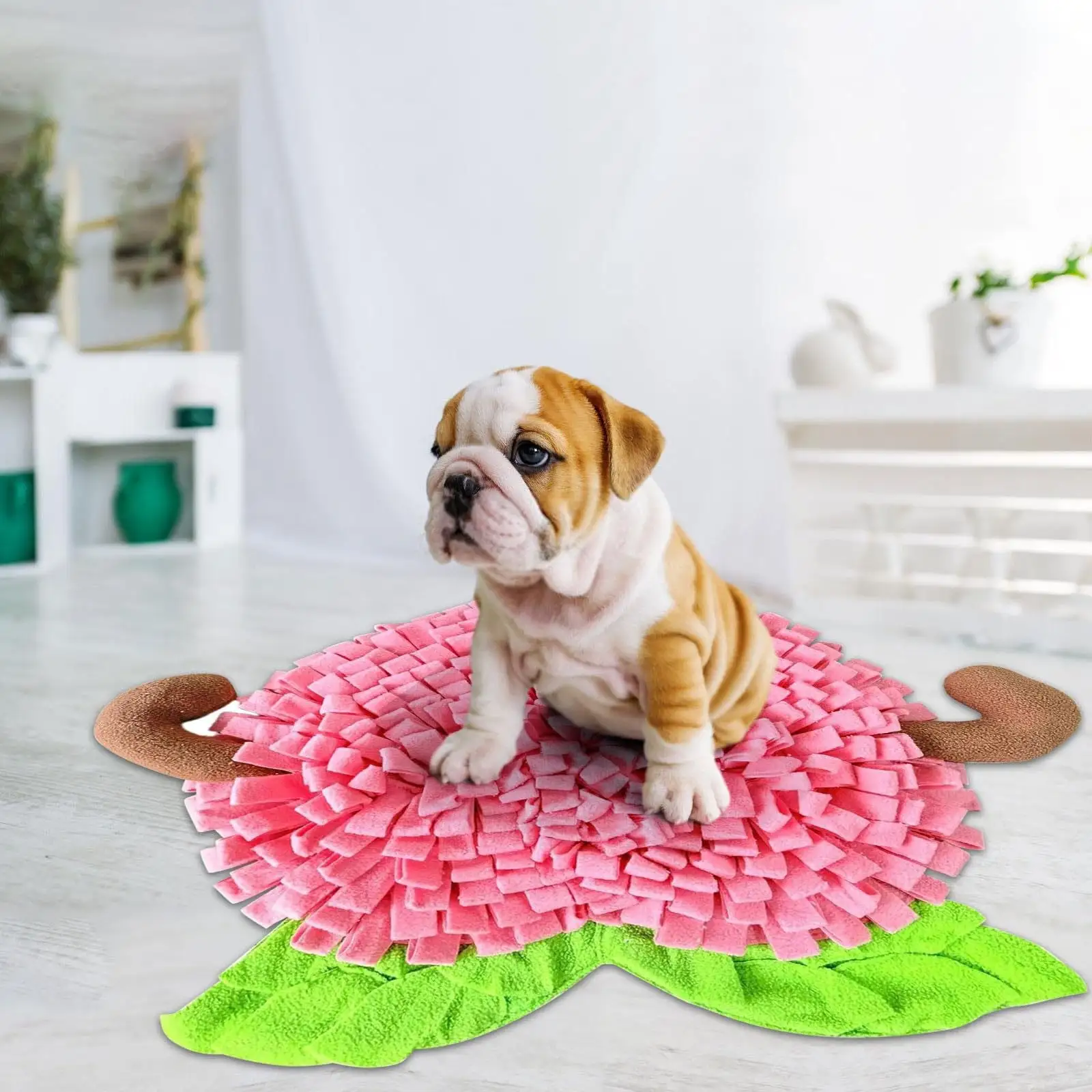 Dinmmgg Snuffle Mat For Dogs Fruit Shape Pet Sniffing Mat Enrichment Pet Foraging Mat For Smell Training And Slow Eating Dog Mental Stimulation Toys Stress For Feeding