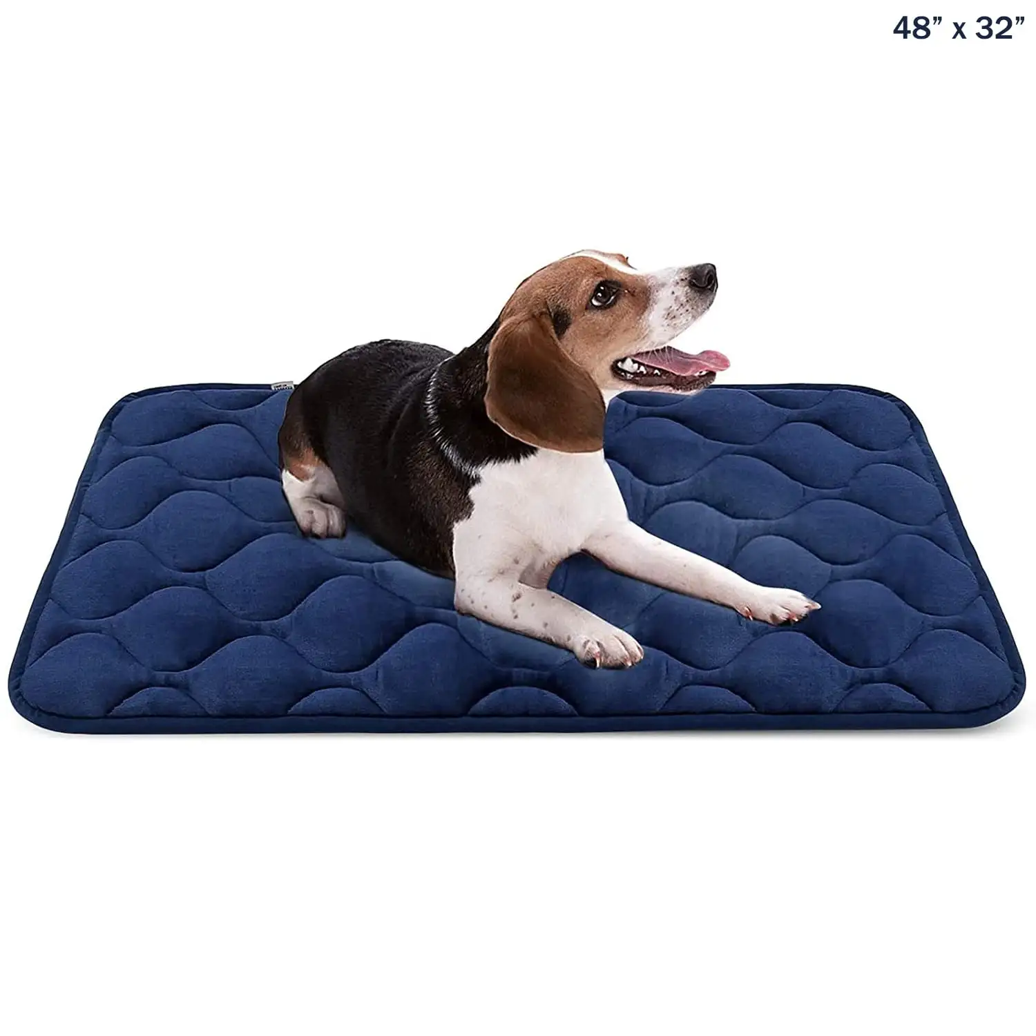 Dog Bed Mat Dog Crate Pad Washable Dog Mattress Pets Kennel Pad for Large Medium Small Dogs and Cats. 48 x 32. 1/4 Thik Blue