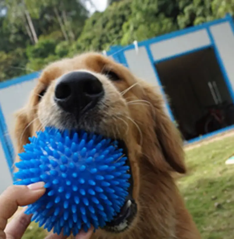 Dog Chew Toys. Fetch Spike Balls Squeaky Interactive Tooth Cleaning Teething Training Aggressive Chewer. Durable Rubber TPR for Small Medium Dog and Puppy (Medium Size. Blue)