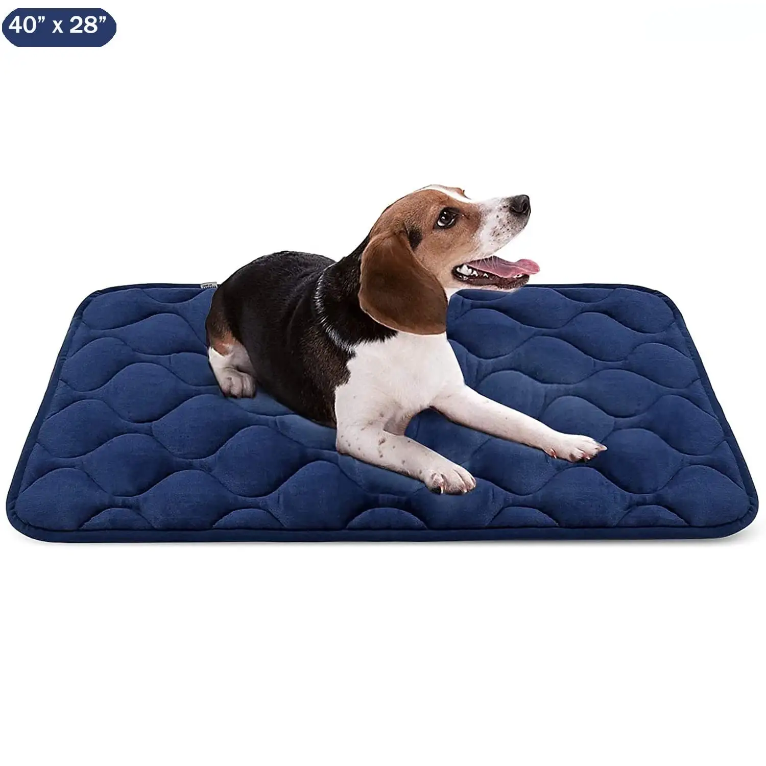 Dog Crate Bed Dog Crate Pad Washable Dog Bed Mat for Crate Mats for Dog Cage Mat Dog Kennel Pad Dog Kennel Mat Dog Crate Liner Dog Bed for Large Dog.Medium Small Dogs and Cat.40 x 28. 1/4Thk. Blue