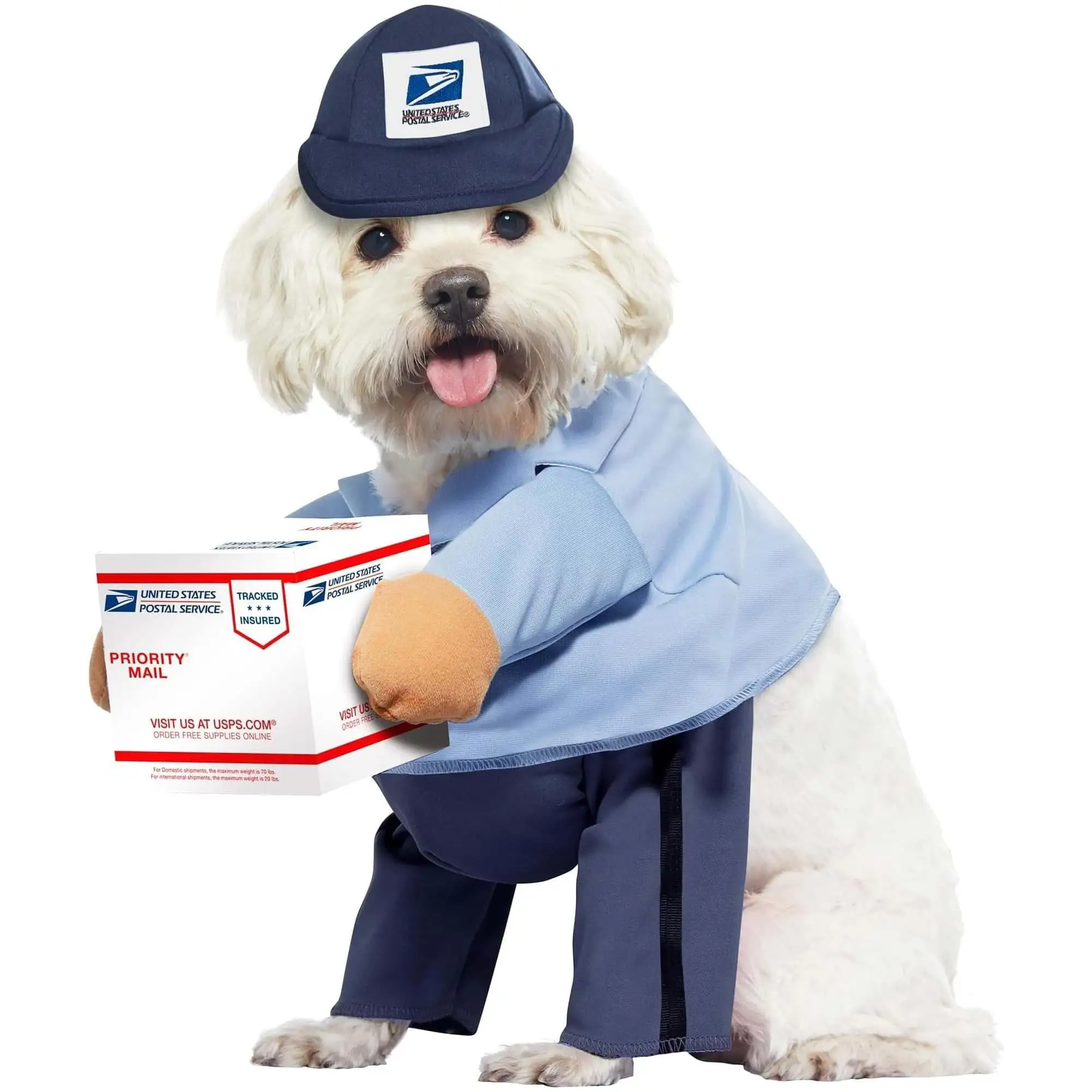 Dog Mail Carrier Costume USPS