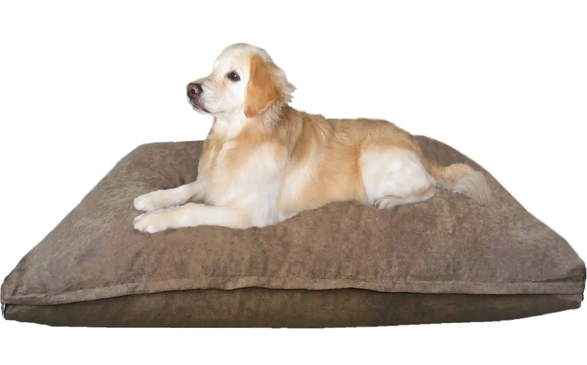 Dogbed4less Shredded Memory Foam 55x37 Dog Bed Pillow with Brown Suede Cover