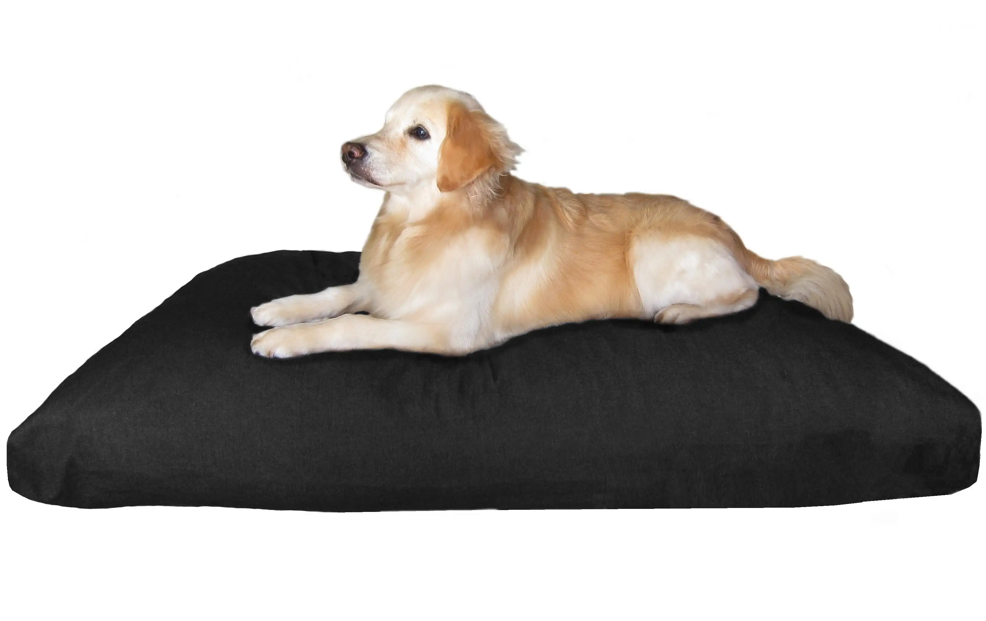 Dogbed4less Shredded Memory Foam Dog Bed for Large Dogs. Black Canvas Cover 55x37 Pillow