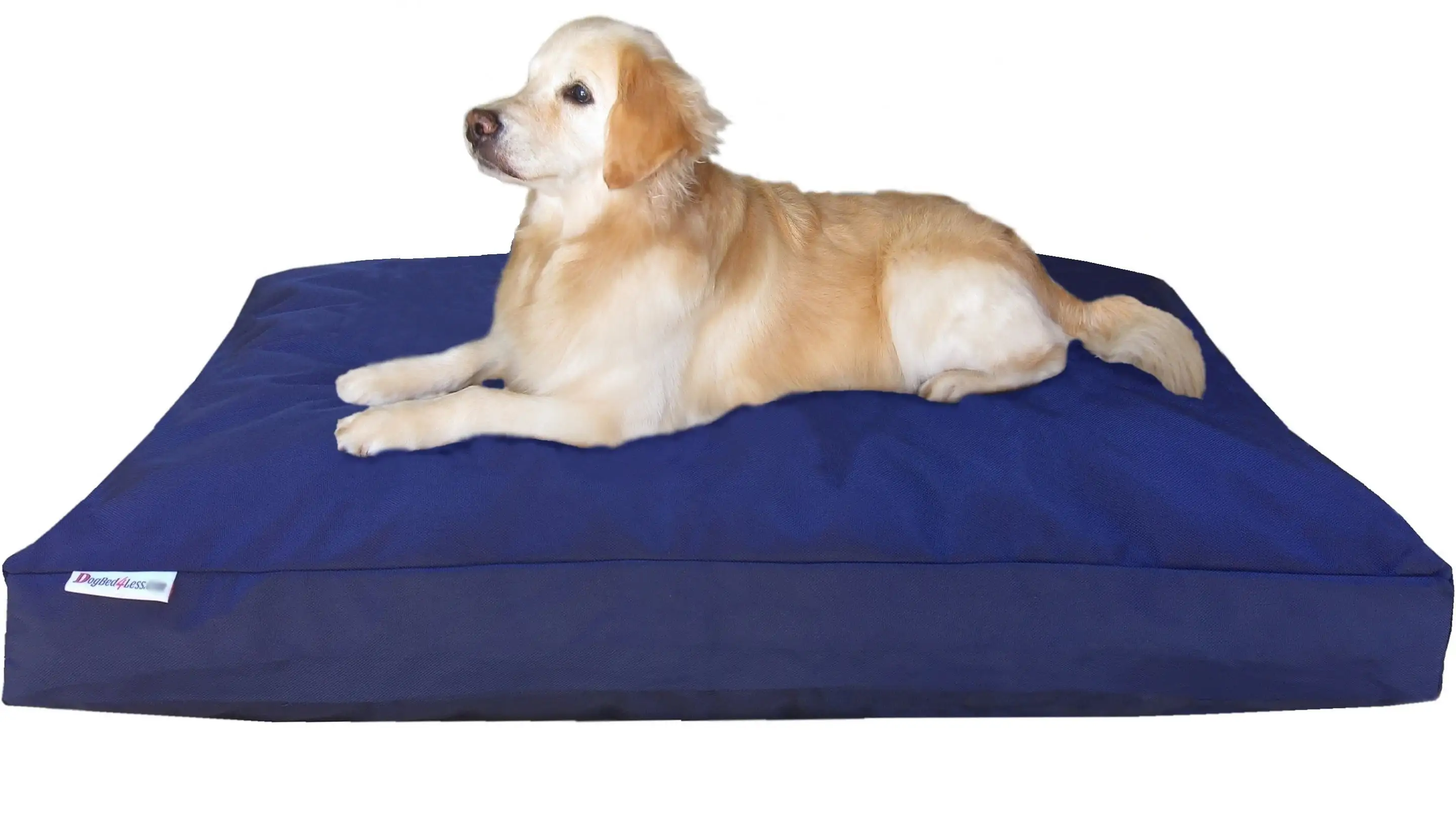 Dogbed4less Shredded Memory Foam Dog Bed for Large Dogs. Blue Nylon Cover 55x37 Pillow