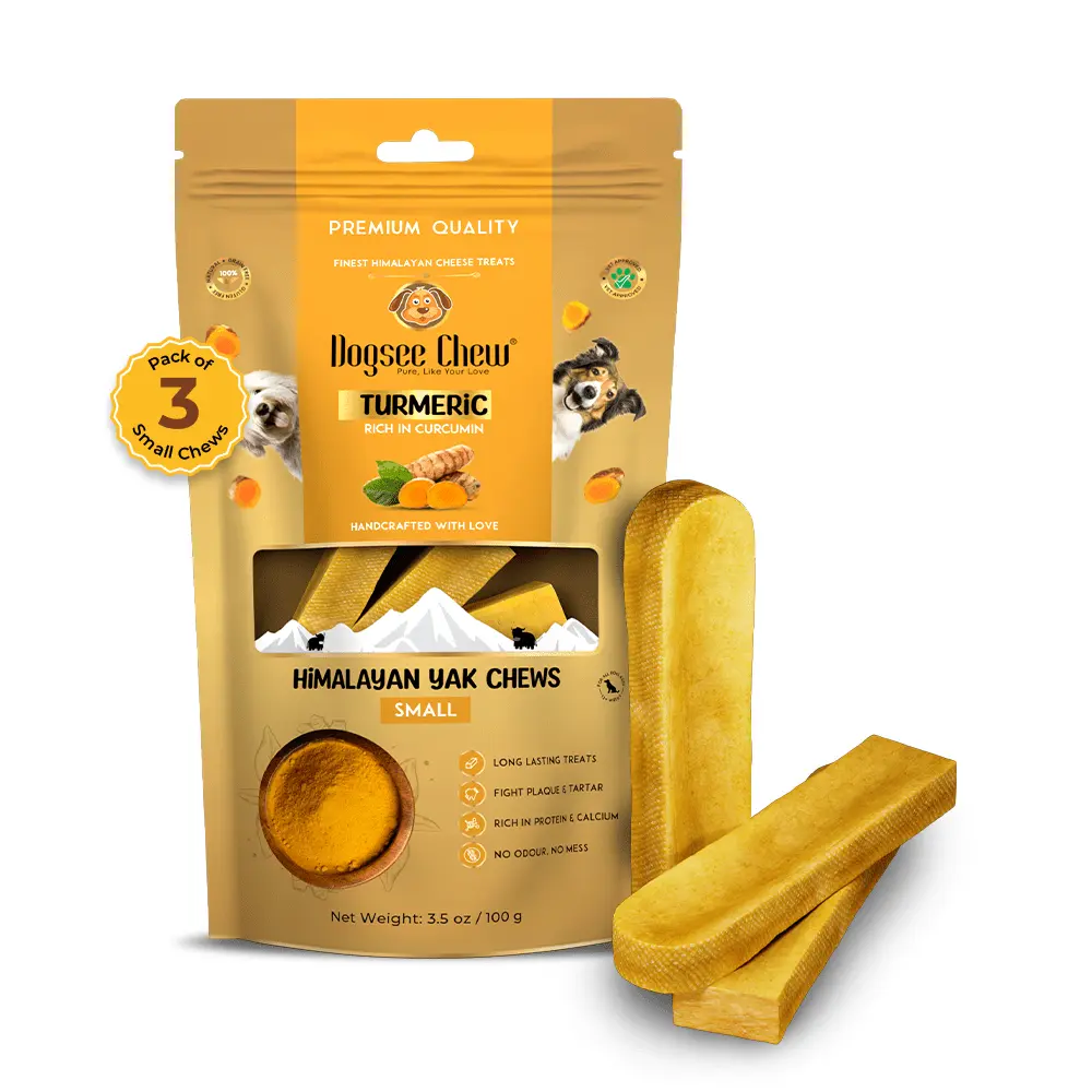 Dogsee FDC-006-001-FBA Chew Turmeric Bars for Dogs - Small - 0.22 lbs