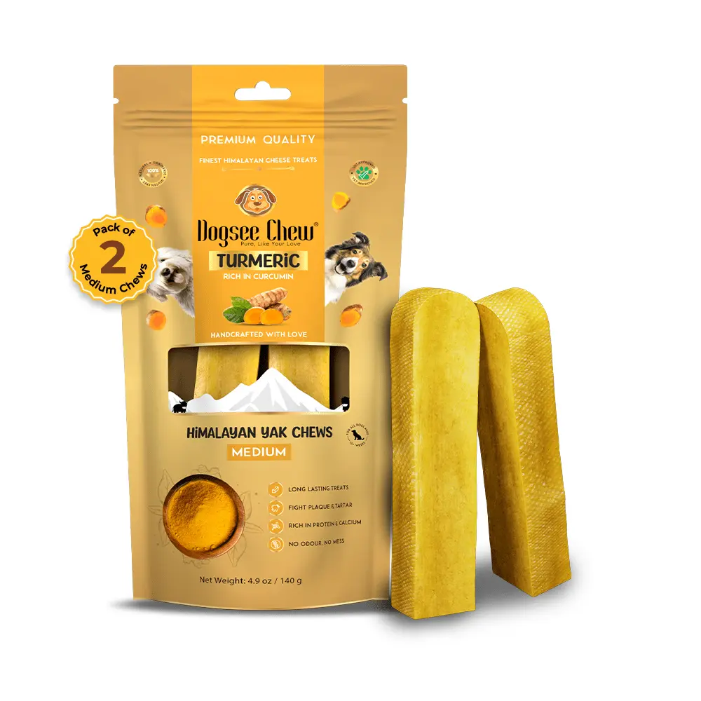 Dogsee Real Turmeric Dental Chew Bars For Dogs Gluten-Free Dog Treats Healthy And Delicious Chew Medium Bars 140 Gm X Pack Of 1