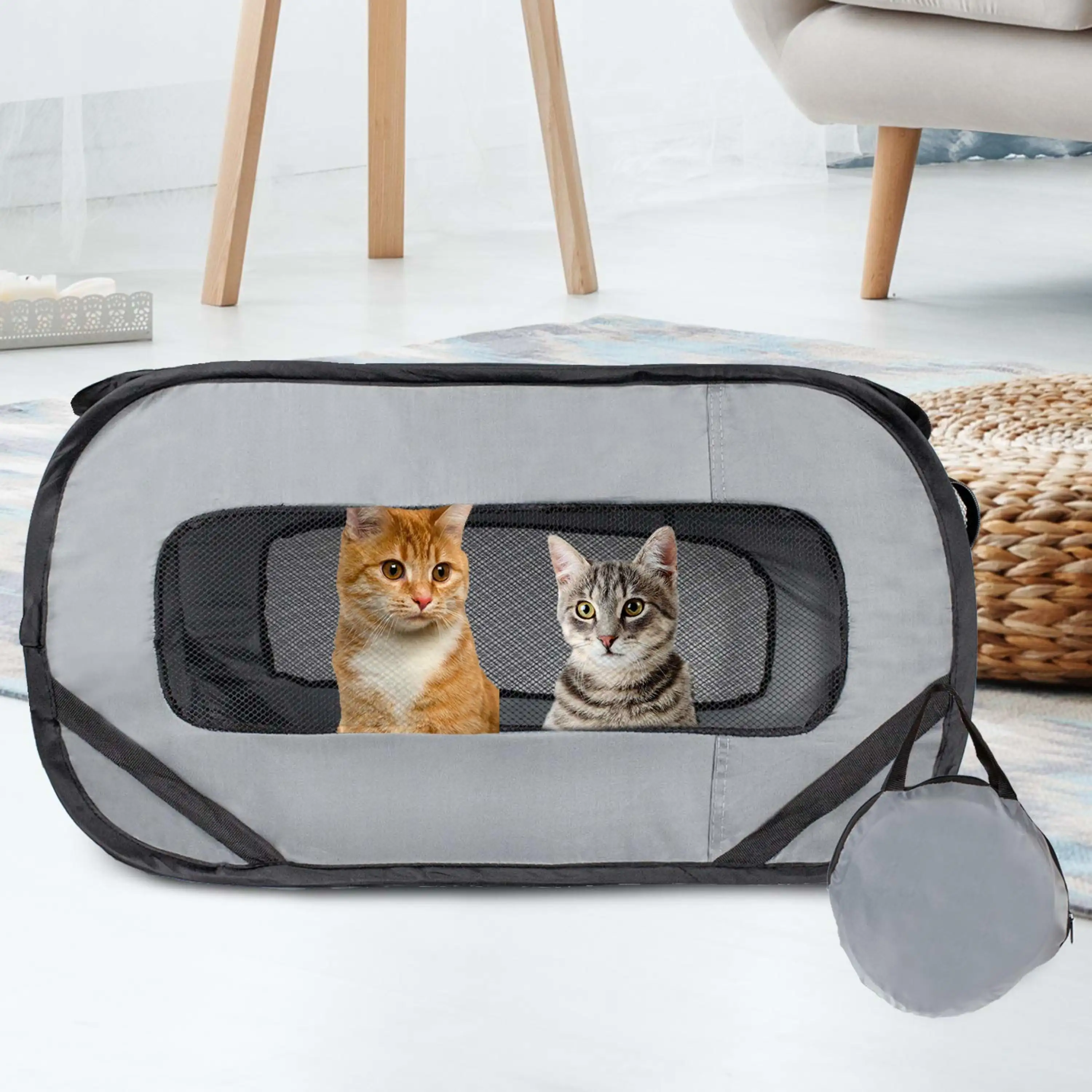 Downtown Pet Supply Pet Carriers for Cats and Dogs. Lightweight Dog Carrier Standard