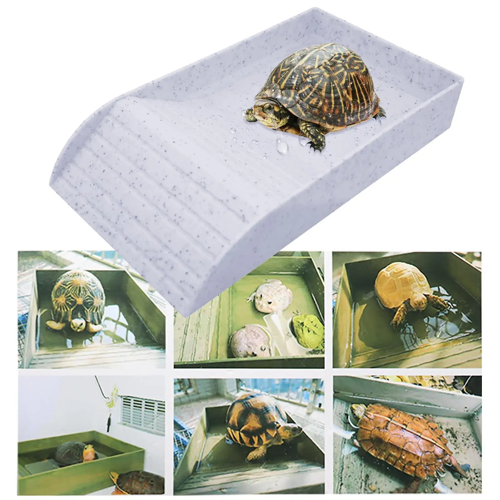 EHJRE Reptile Bowl Reptile Bathing Pool Feeding Plate with Slope Lizards Habitat Tortoise Water Dish for Leopard Snake Gecko Turtle white and L