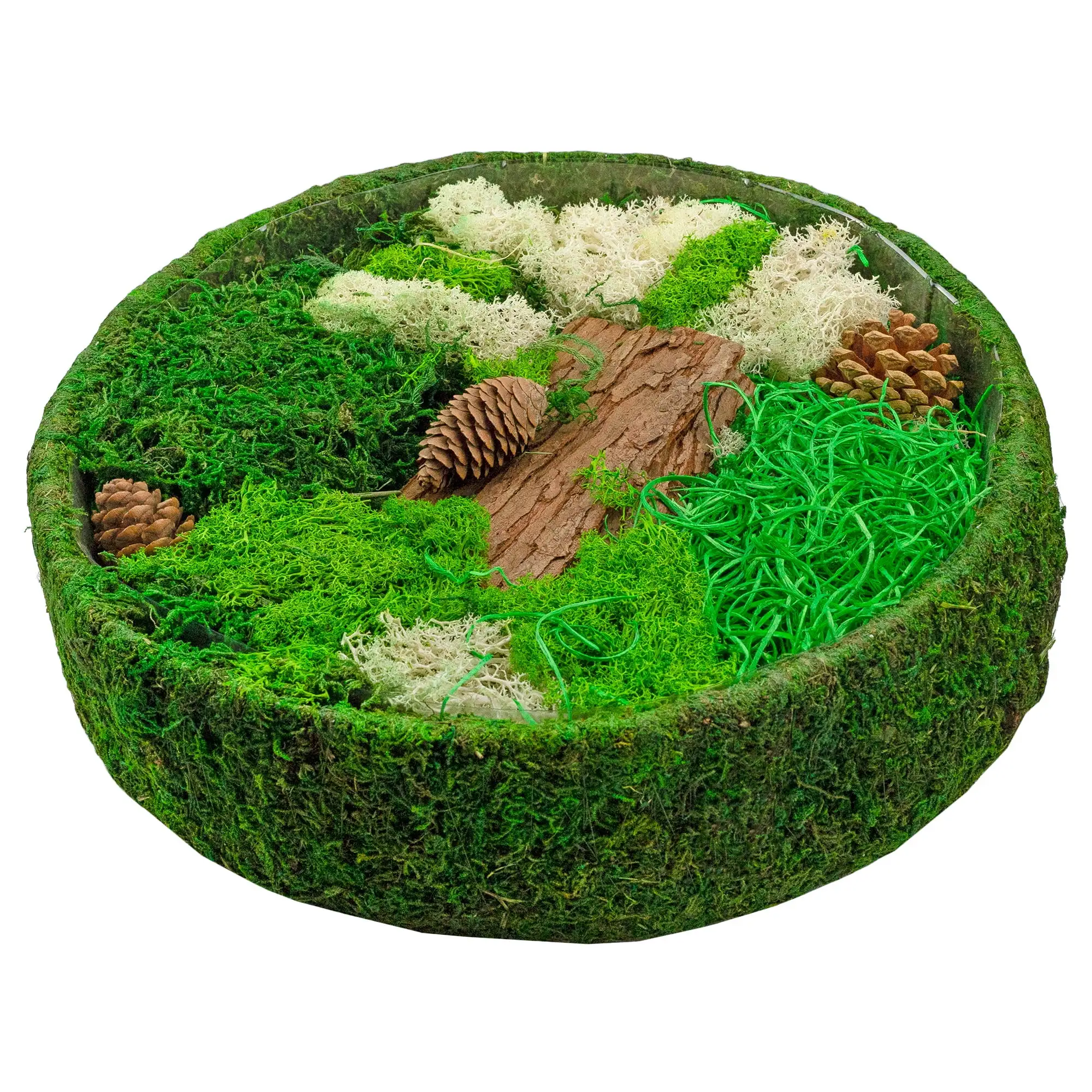 Esterno Round Fairy Garden Display. DIY Dried Moss Enchanted Landscape Terrarium Starter Kit