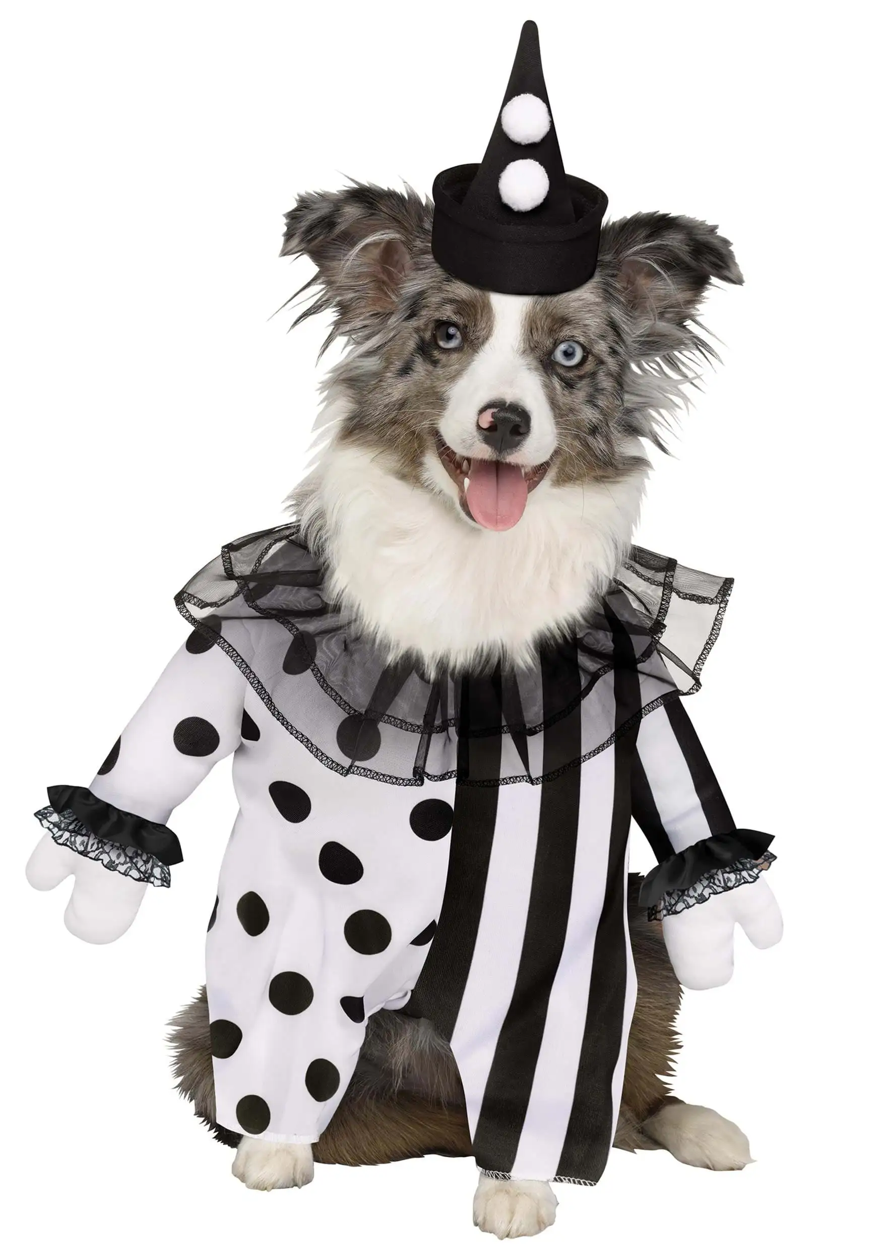 Evil Clown Pet Costume