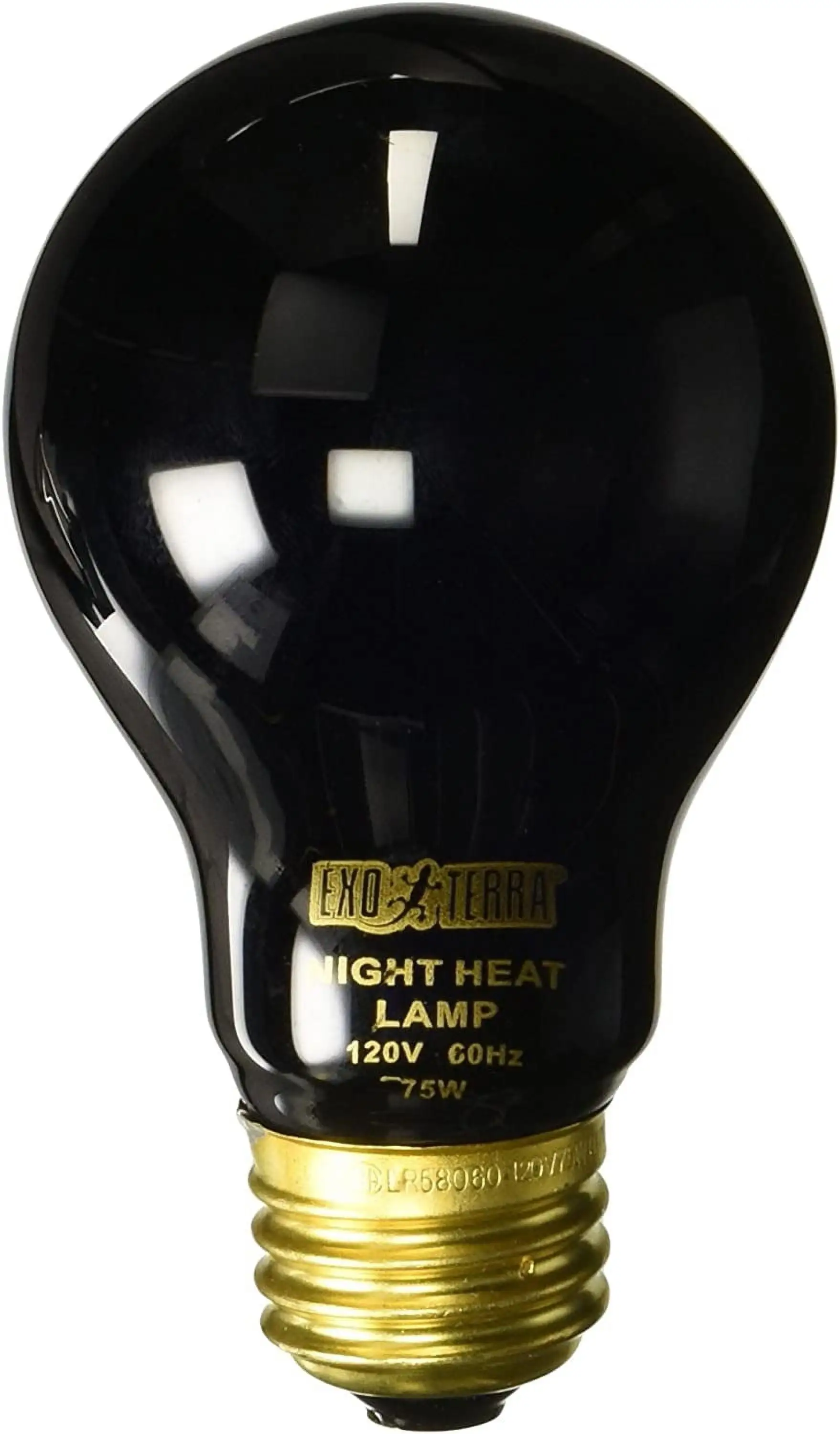 Exo Terra Night Heat Lamp for Reptiles