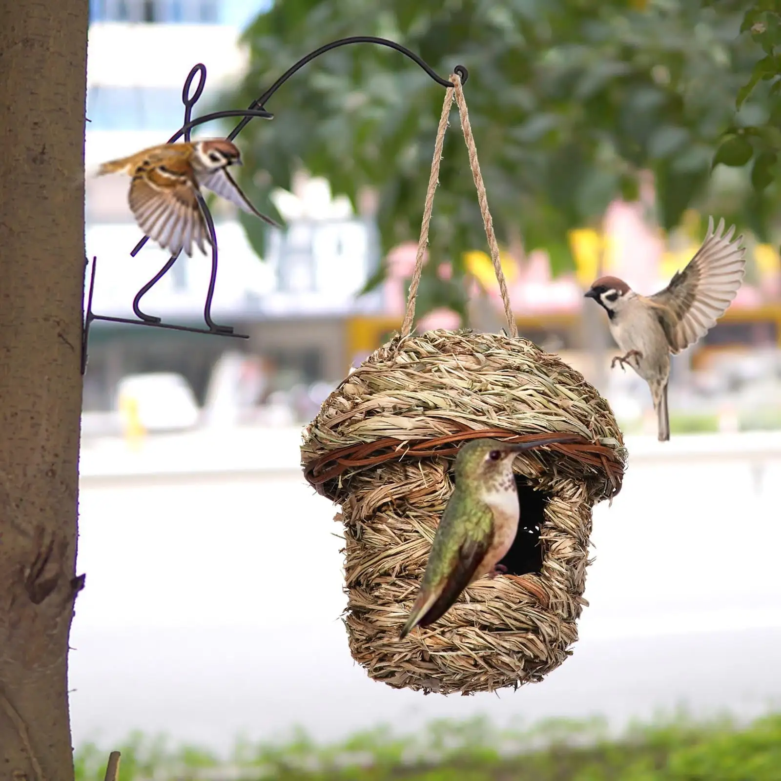 Feledorashia Hummingbird House for Outside Hanging. Hand-Woven Straw Hummingbird Nest. Finch Bird House for Garden Patio Outdoor Home Decoration