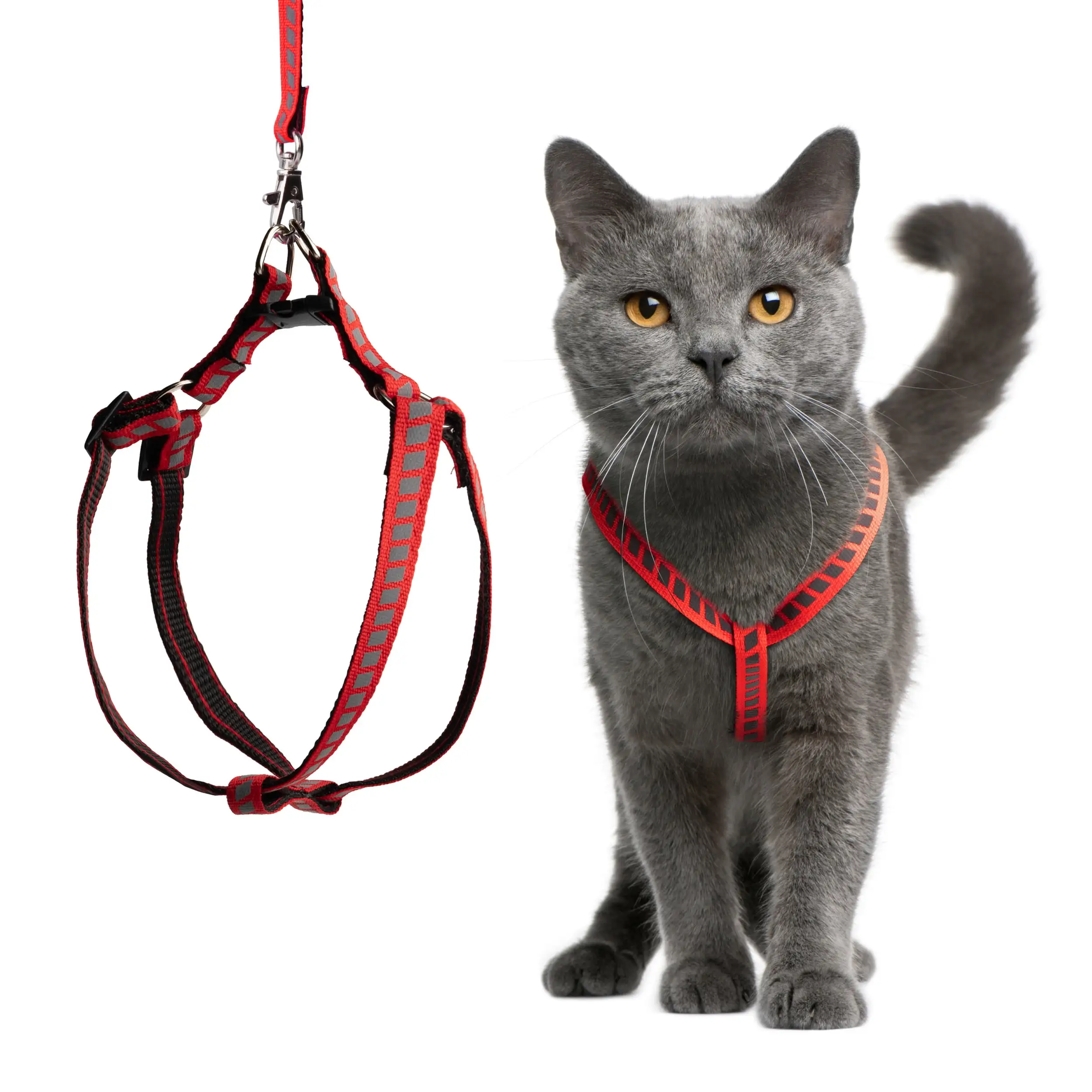 Filbert Cat Harness and Leash Set with Reflective Strip. Cat Harness Escape Proof w/ Cat Leash. Adjustable Travel Harness for Cats. Cat Harness for Walking & Outside. Easy-to-Put-On Kitten Harness