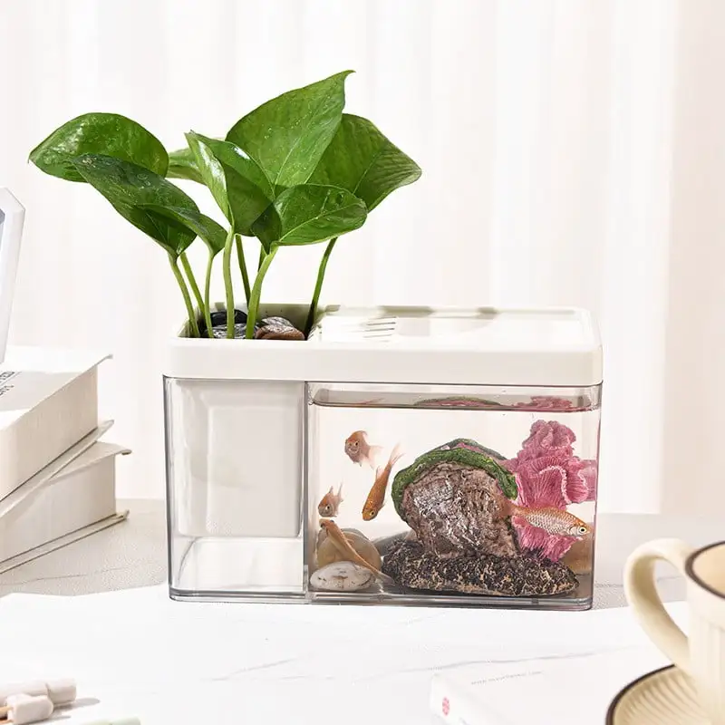 Fish Box. Small Eco Box Desktop Office Home. Can Create Scenery Fish Tank Fish Breeding. Rectangular Fish Bowl Aquarium for Turtle and Pet Fish Tank Aquarium Tank for Fish Goldfish Shrimp