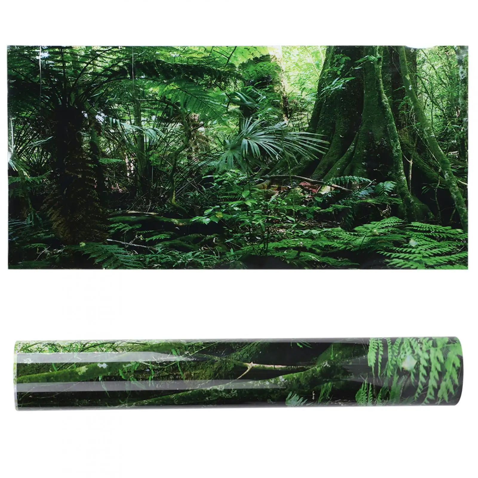 Fish Tank Poster. Rainforest Background. For Reptile Box 61x30cm