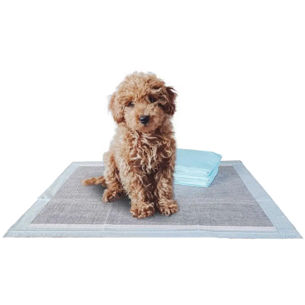 Fluffy Ventures Pet Dog and Puppy Pee Training Pads. Disposable. Activated Carbon. 22 x 22 - 100 Count