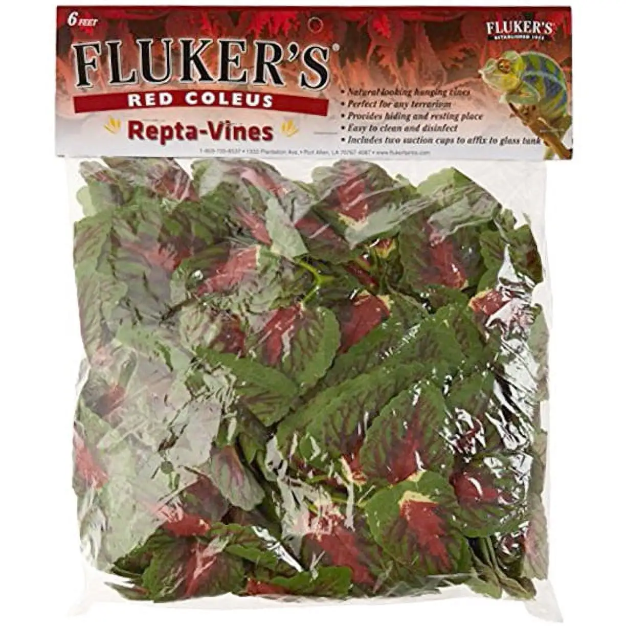 Fluker's Red Coleus Repta-Vines. 6'