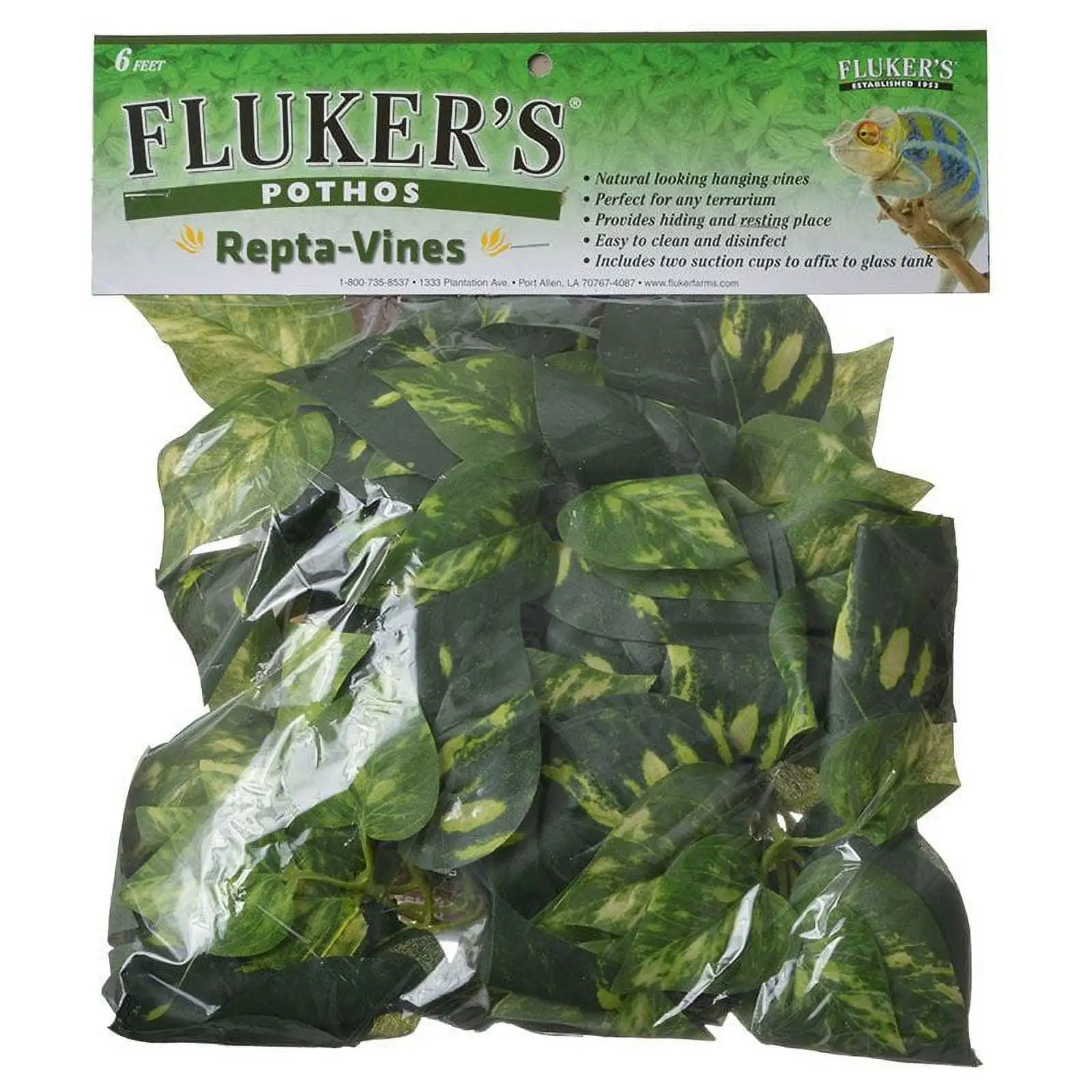 Fluker's Repta-Vines Pothos. 6'