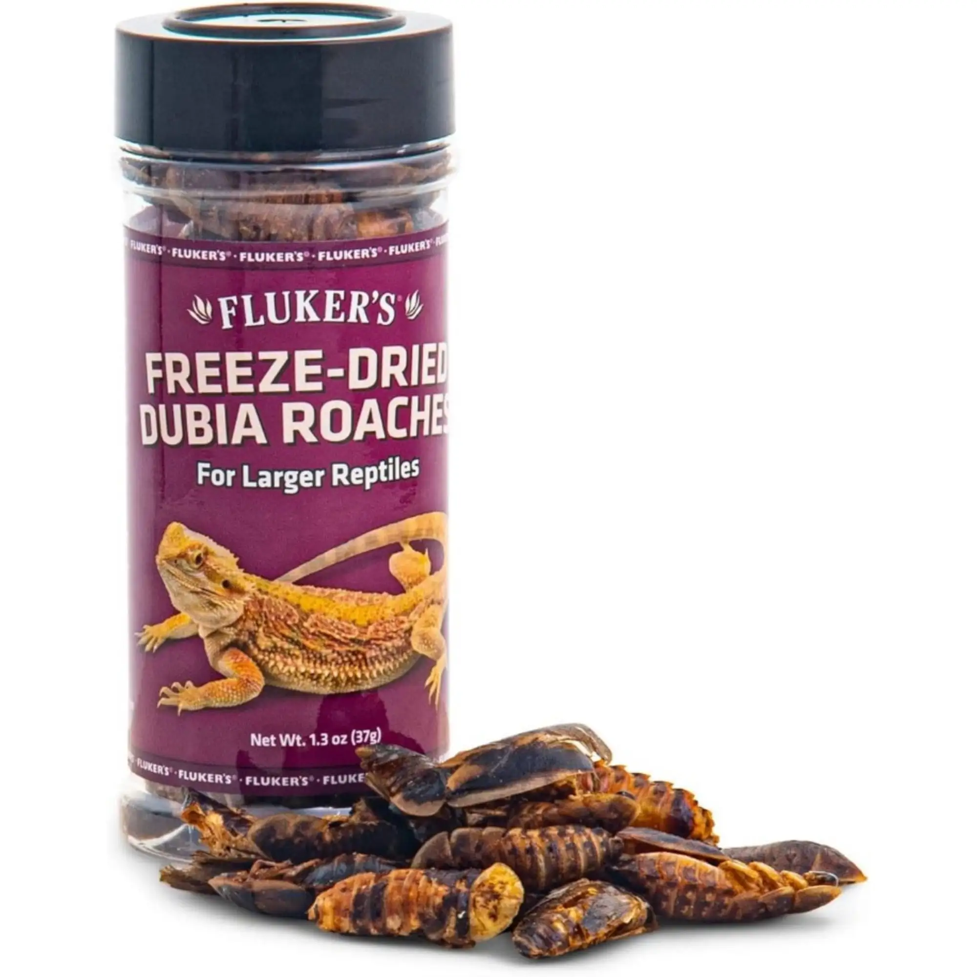 Flukers Freeze Dried Dubia Roaches for Reptiles