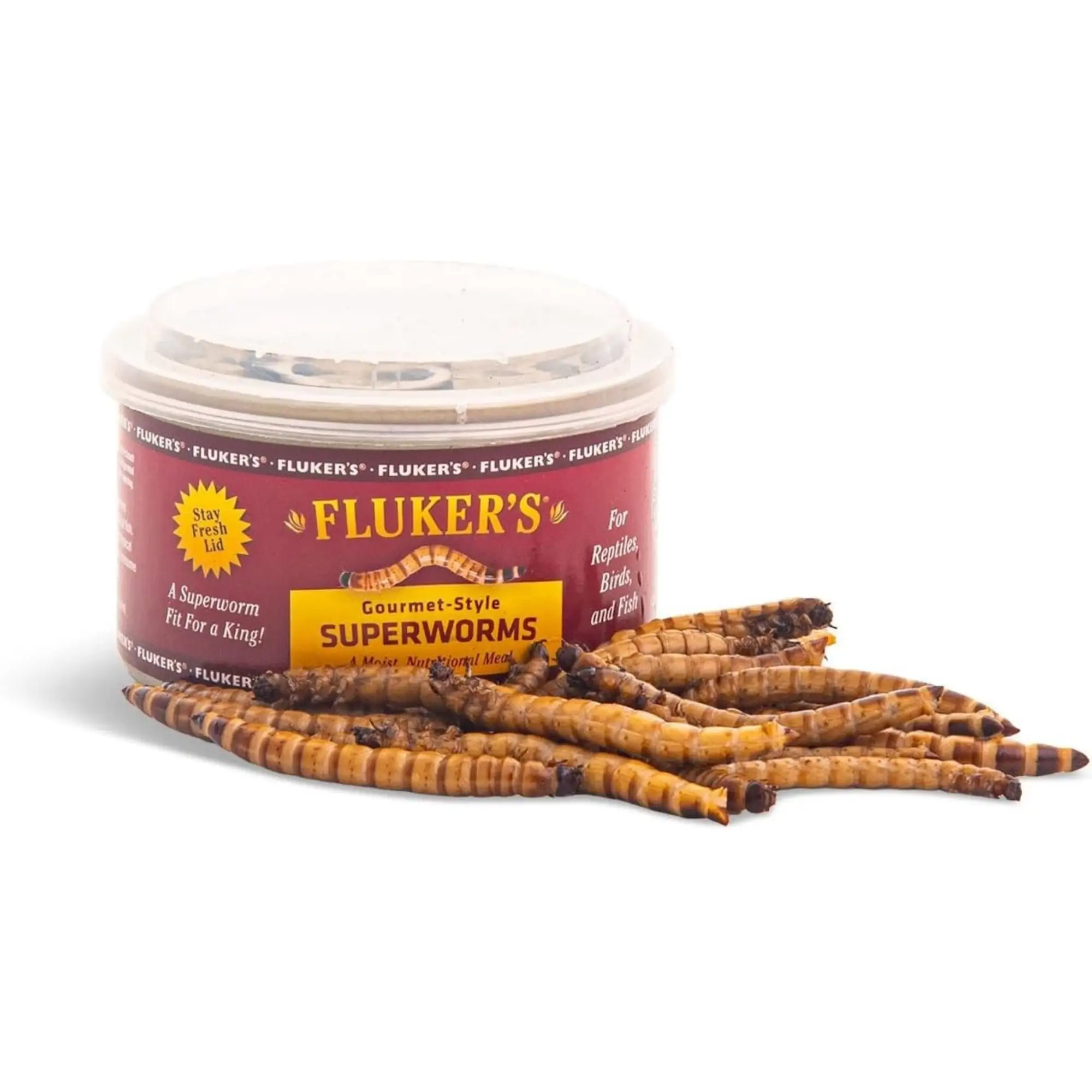 Flukers Gourmet Canned Superworms for Reptiles