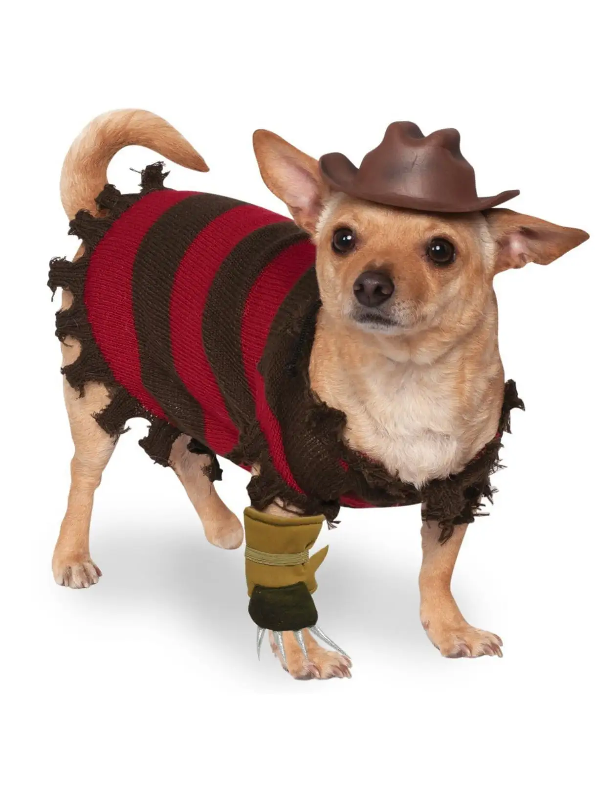 Freddy Krueger Pet Costume