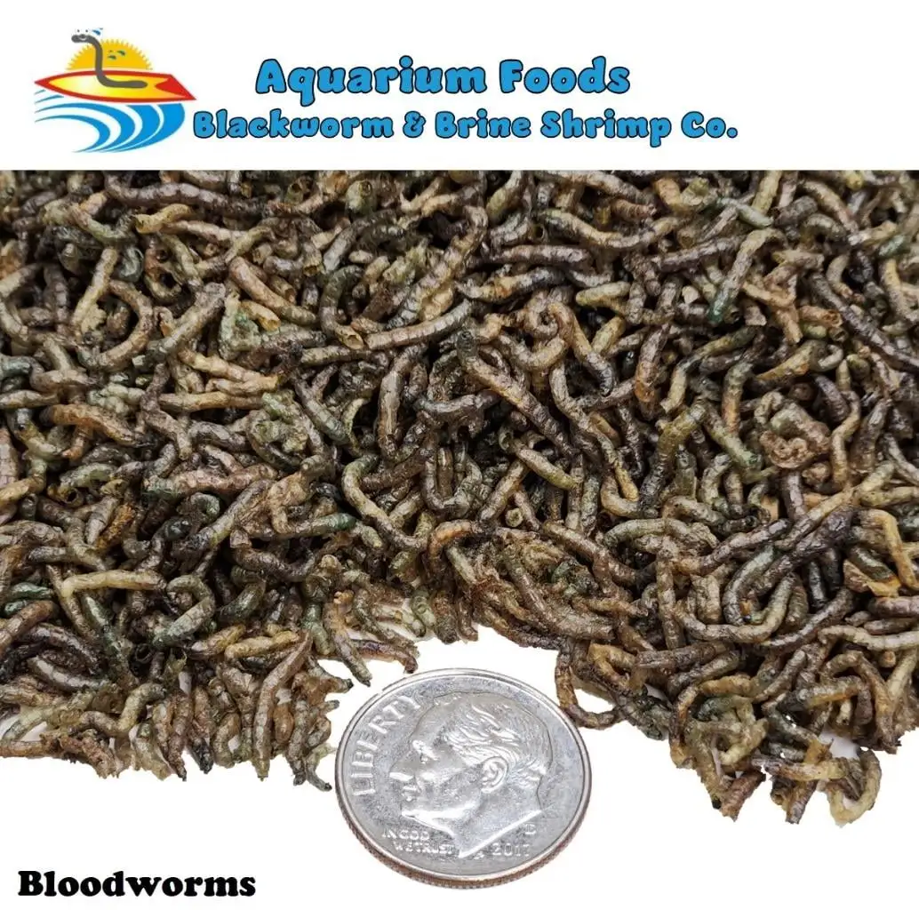 Freeze Dried Bloodworms- Tropical Fish. Marine Fish. Koi Fish. Turtles...8oz