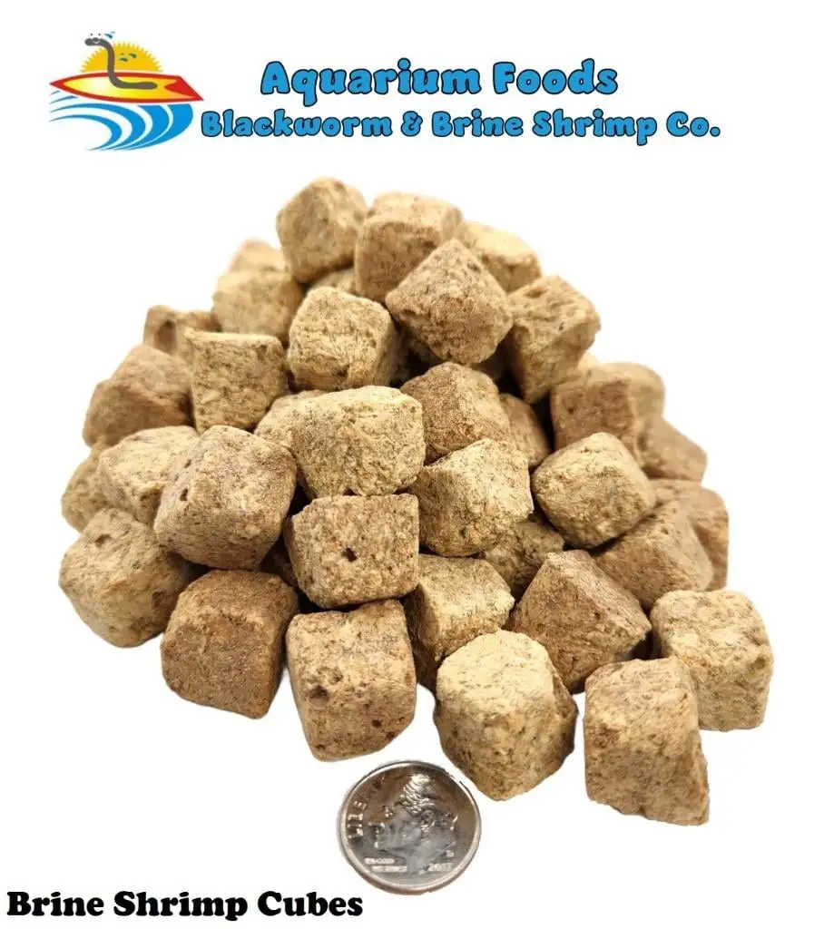 Freeze Dried Brine Shrimp Cubes - Tropical Fish. Marine Fish. Koi Fish. Turtles...8oz