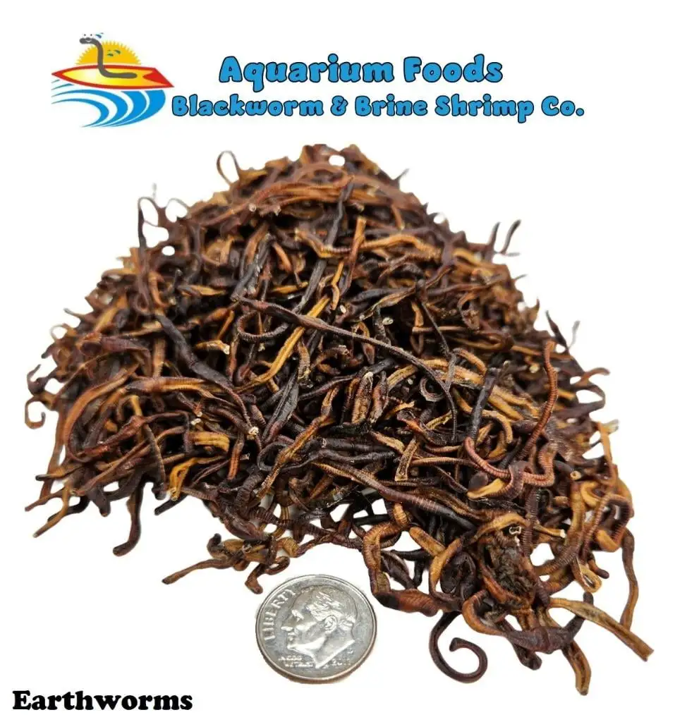 Freeze Dried Earthworms - Tropical Fish. Marine Fish. Koi Fish. Turtles...8oz