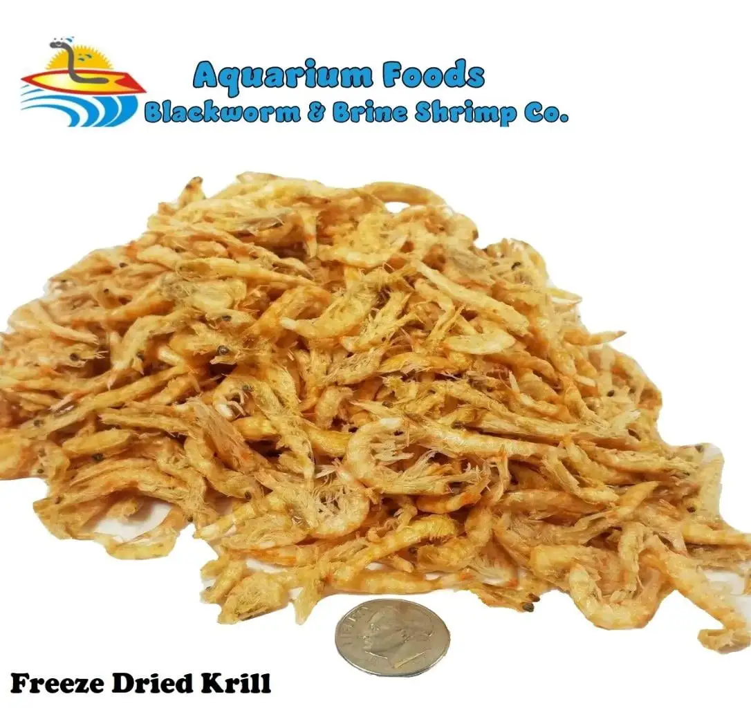 Freeze Dried Krill- Tropical Fish. Marine Fish. Koi Fish. Turtles...1-lb