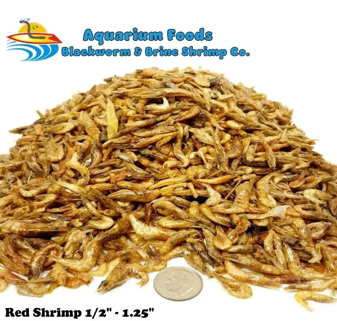 Freeze Dried Red Shrimp 1/2-1.25 - Tropical Fish. Marine Fish. Koi Fish. Turtles...8oz