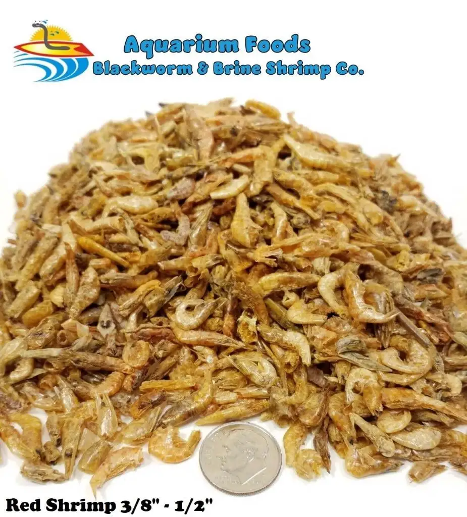 Freeze Dried Red Shrimp 3/8-1/2 - Tropical Fish. Marine Fish. Koi Fish. Turtles...8oz