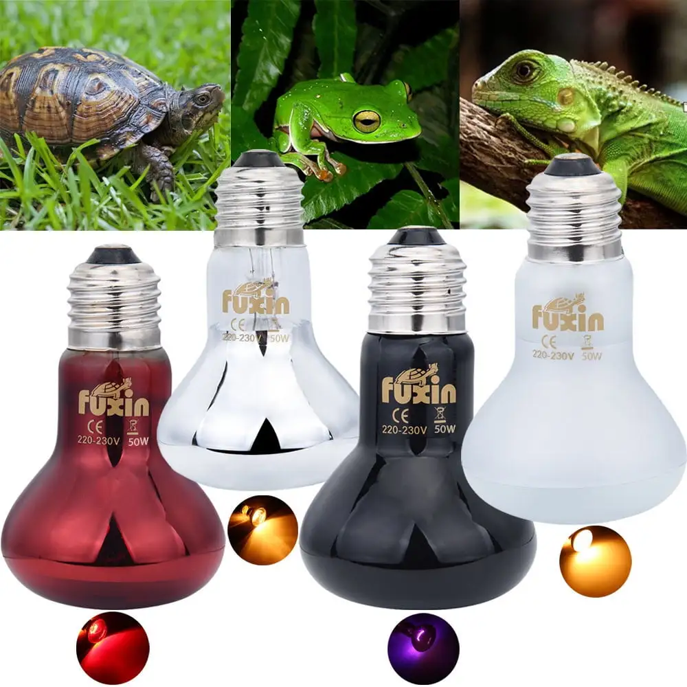 Fridja 100W 2 Pack Ceramic Heat Lamp with 1-pcs Digital-Thermometer. Infrared Reptile Heat Emitter Heater Lamp Bulb for Pet Brooder Coop